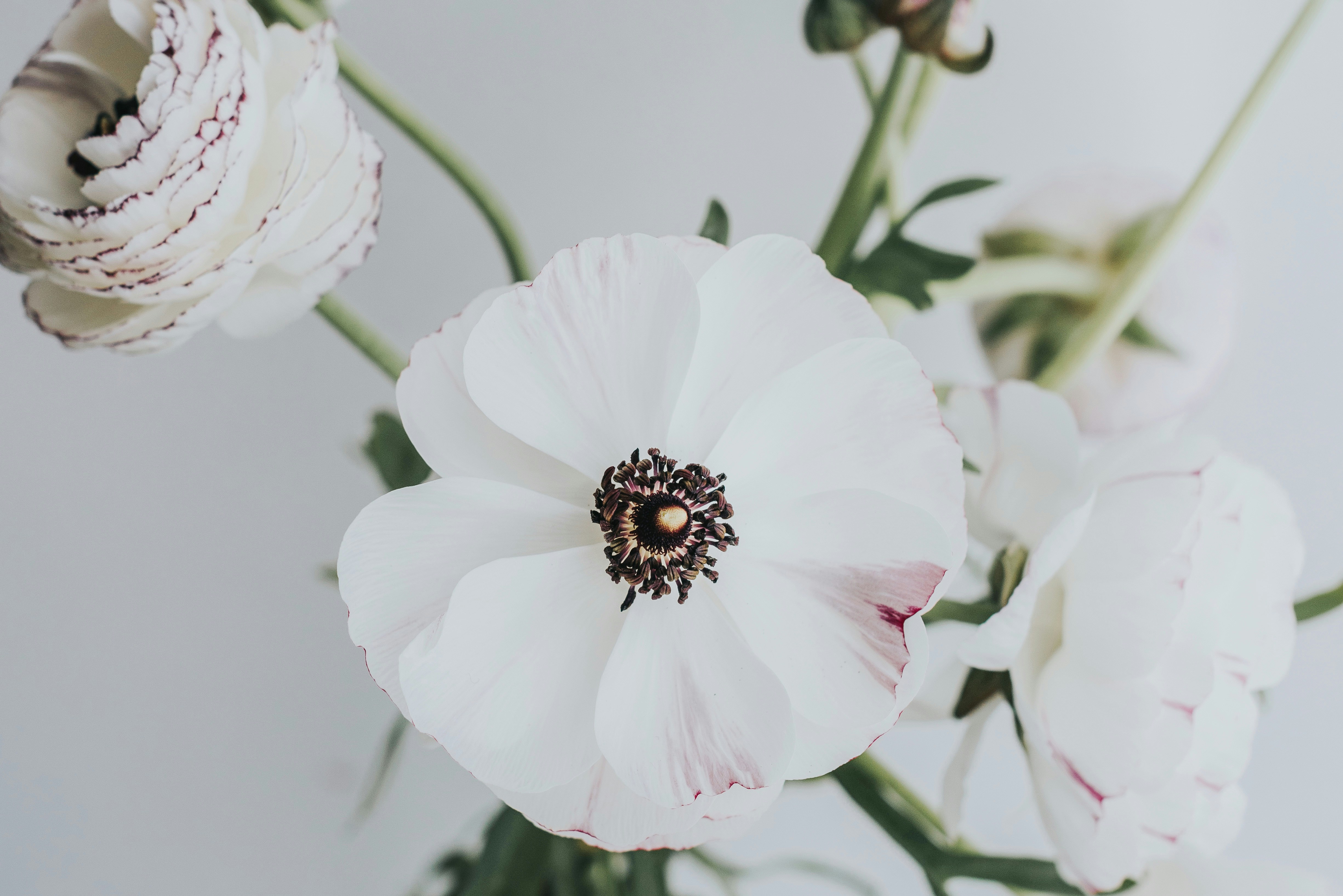 Photo by anitaaustvika