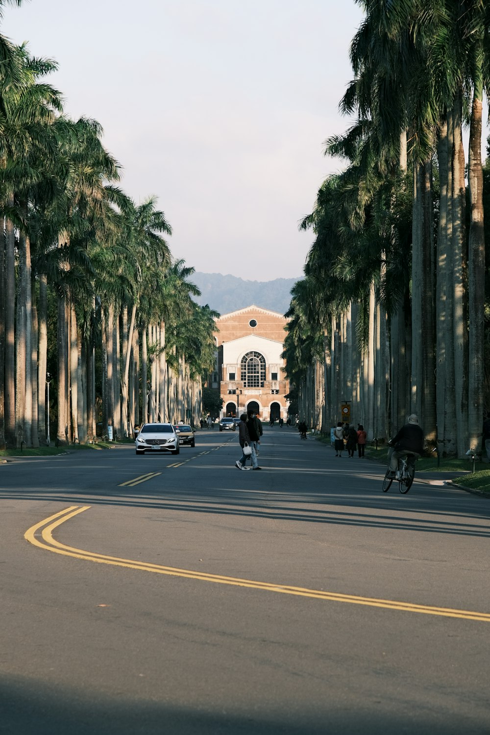 a person riding a bike down a street next to palm trees