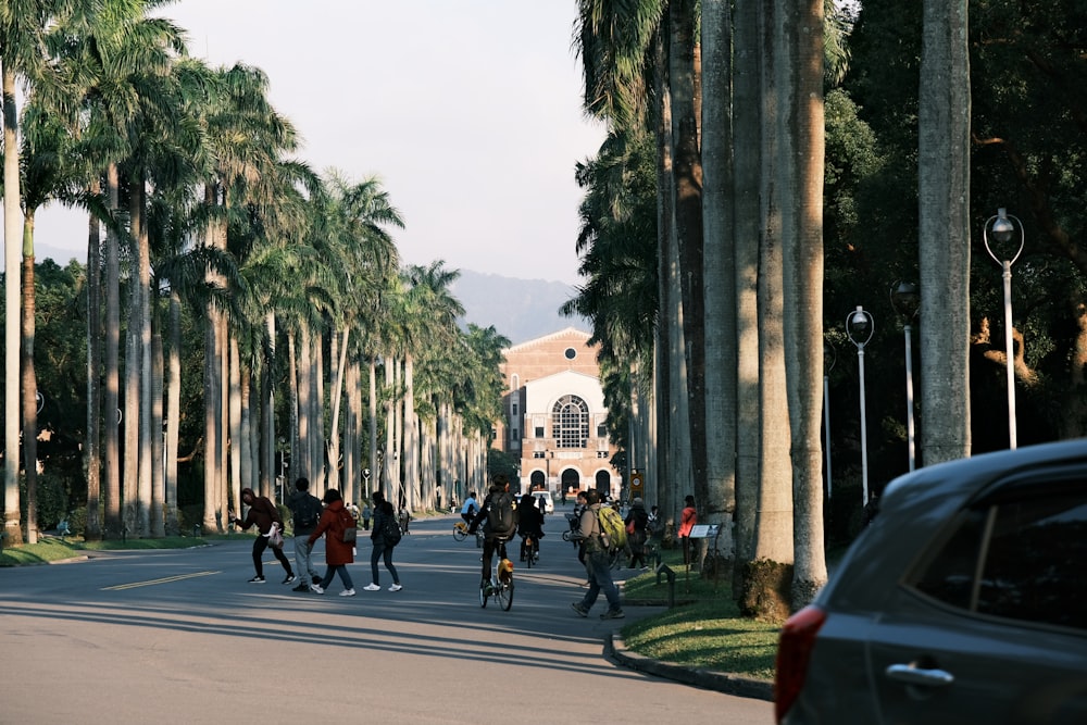 a group of people walking down a street next to palm trees