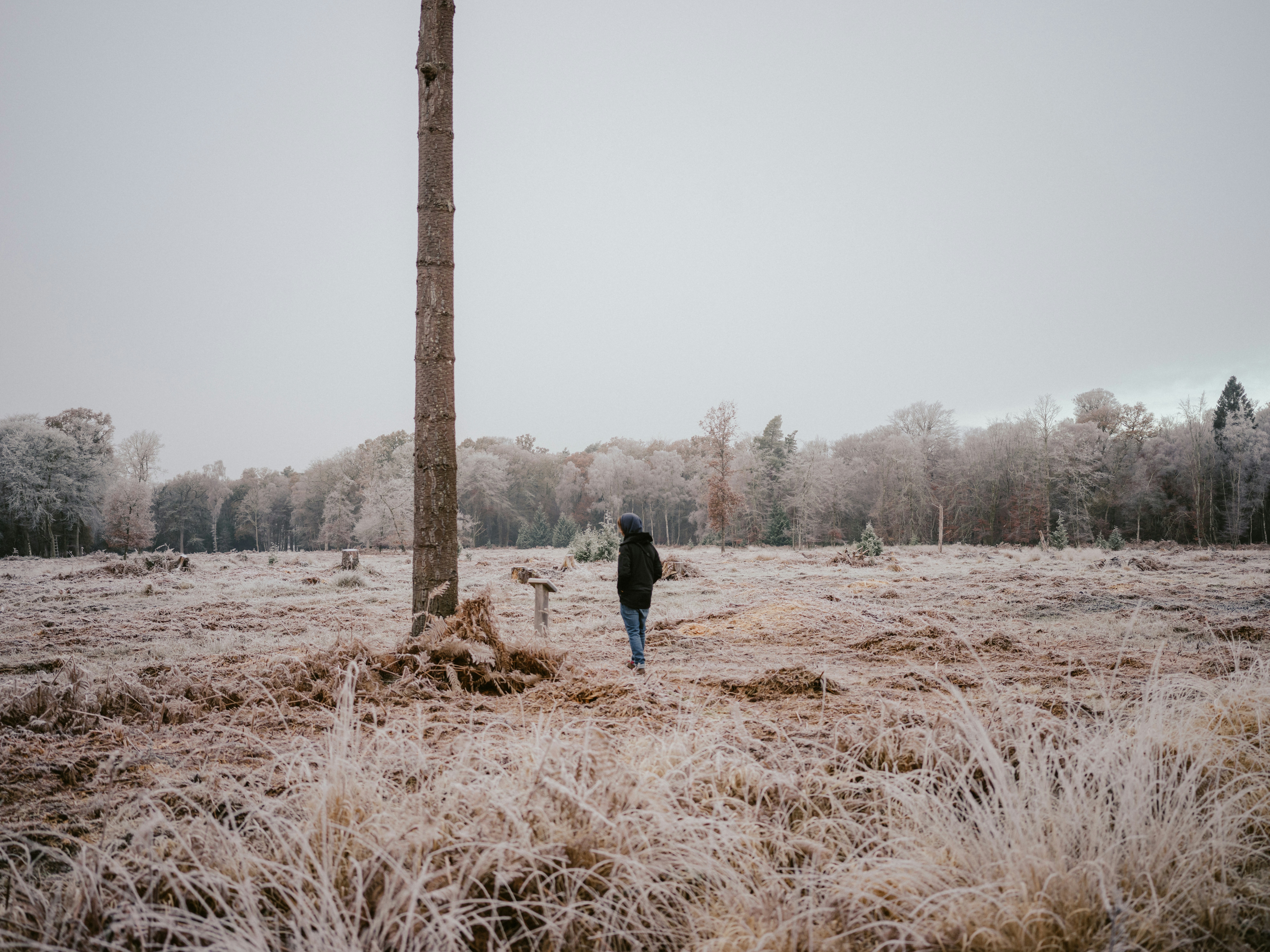 Photo by anniespratt