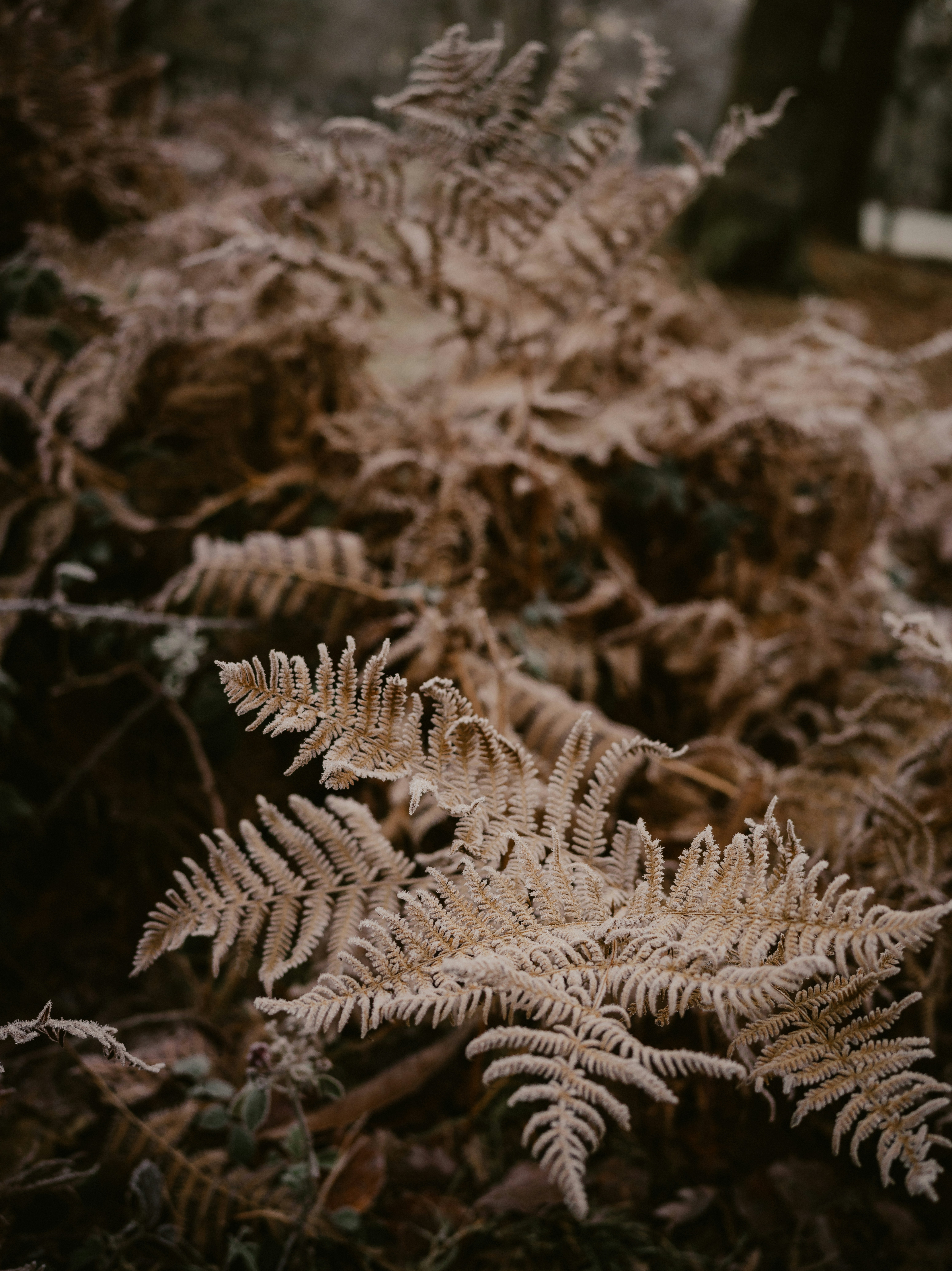 Photo by anniespratt