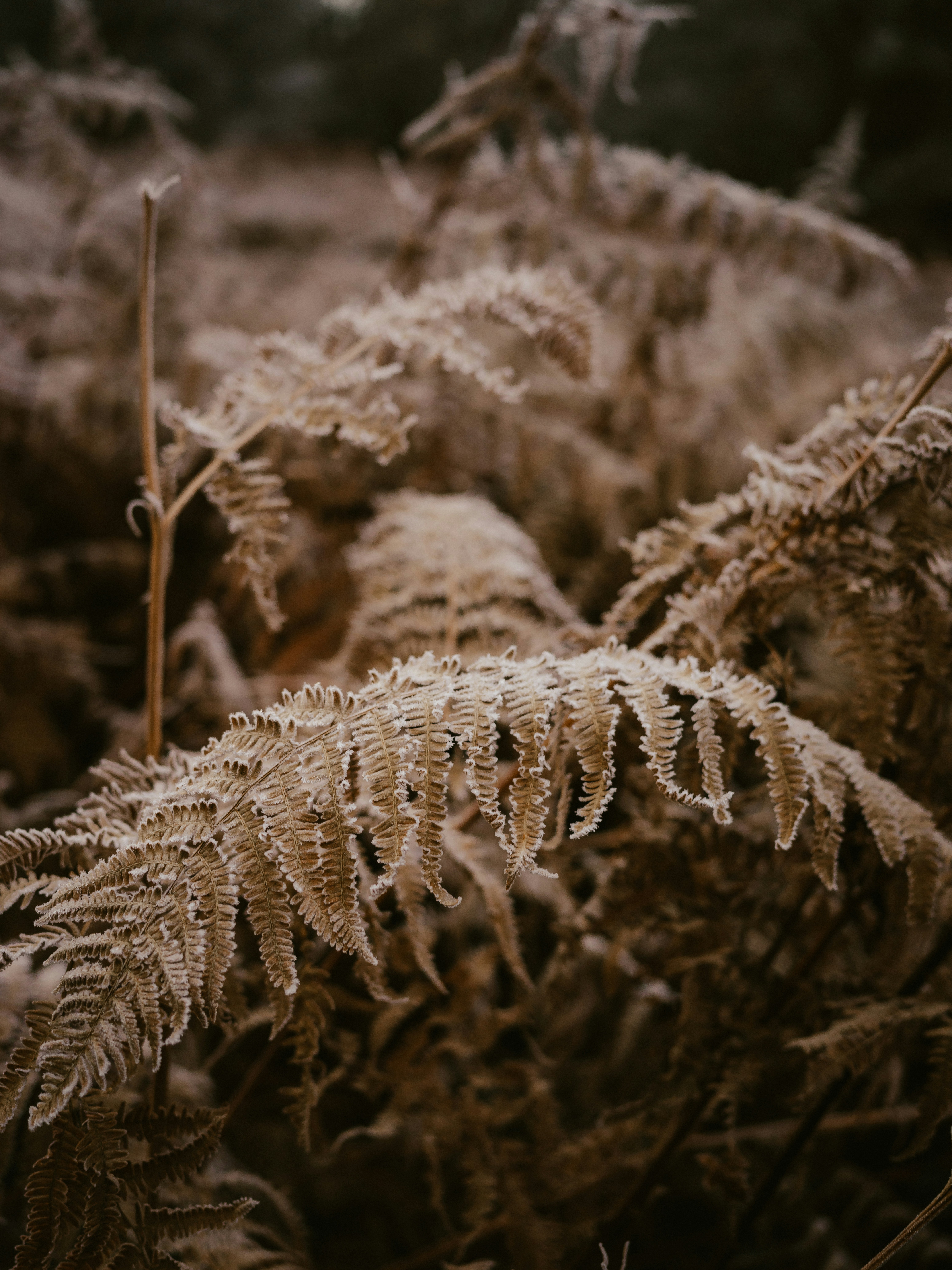 Photo by anniespratt