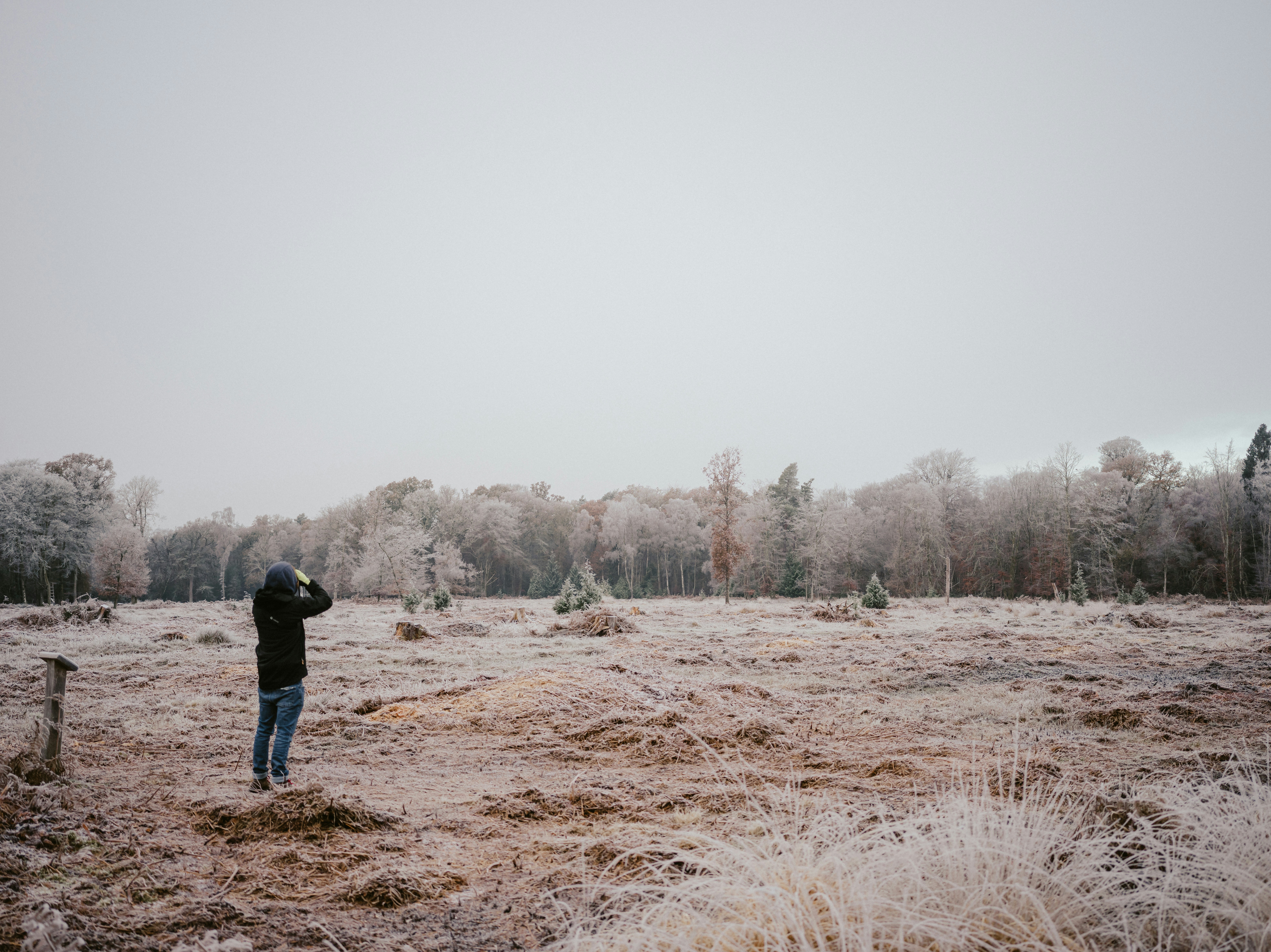 Photo by anniespratt