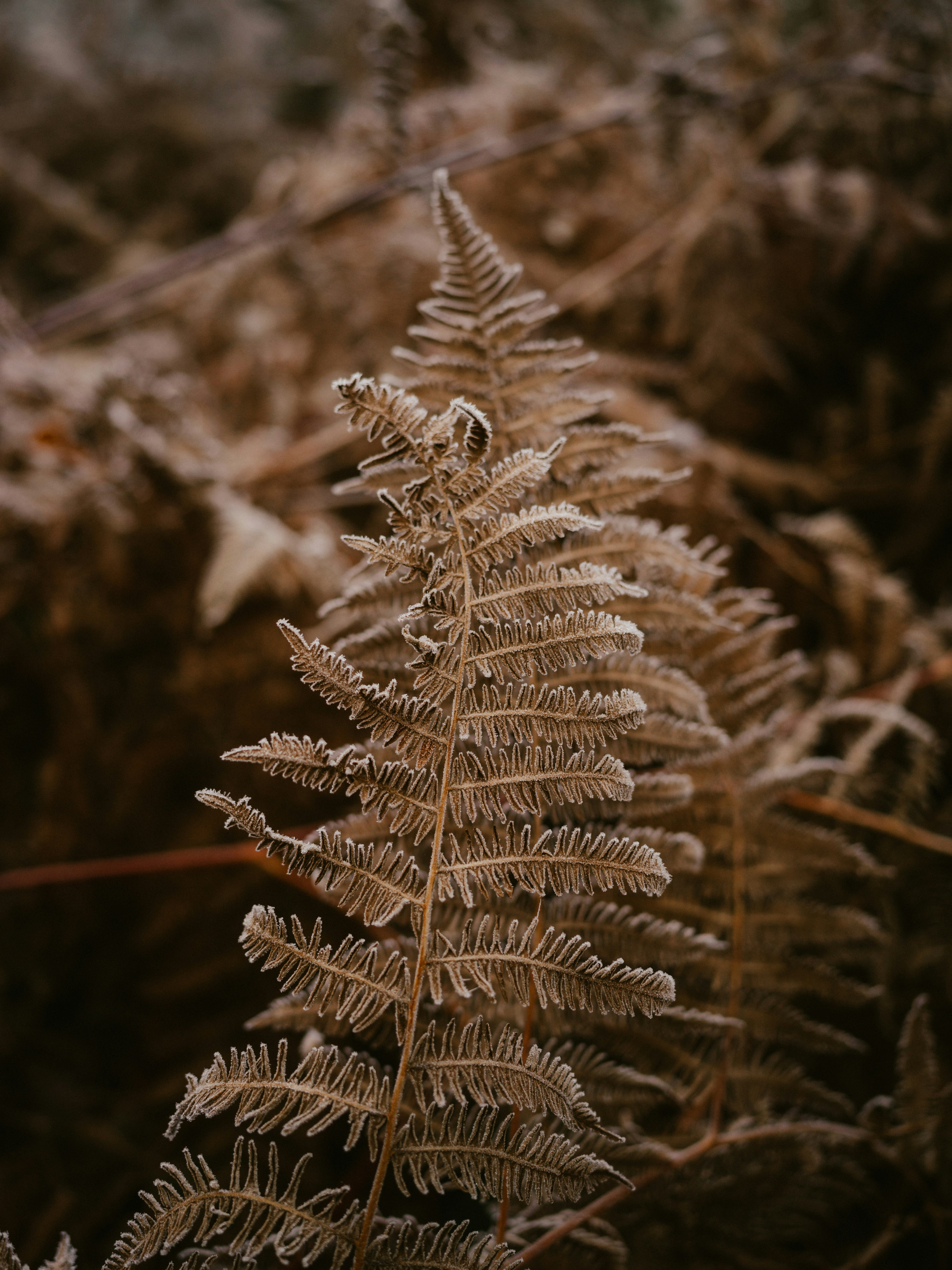 Photo by anniespratt