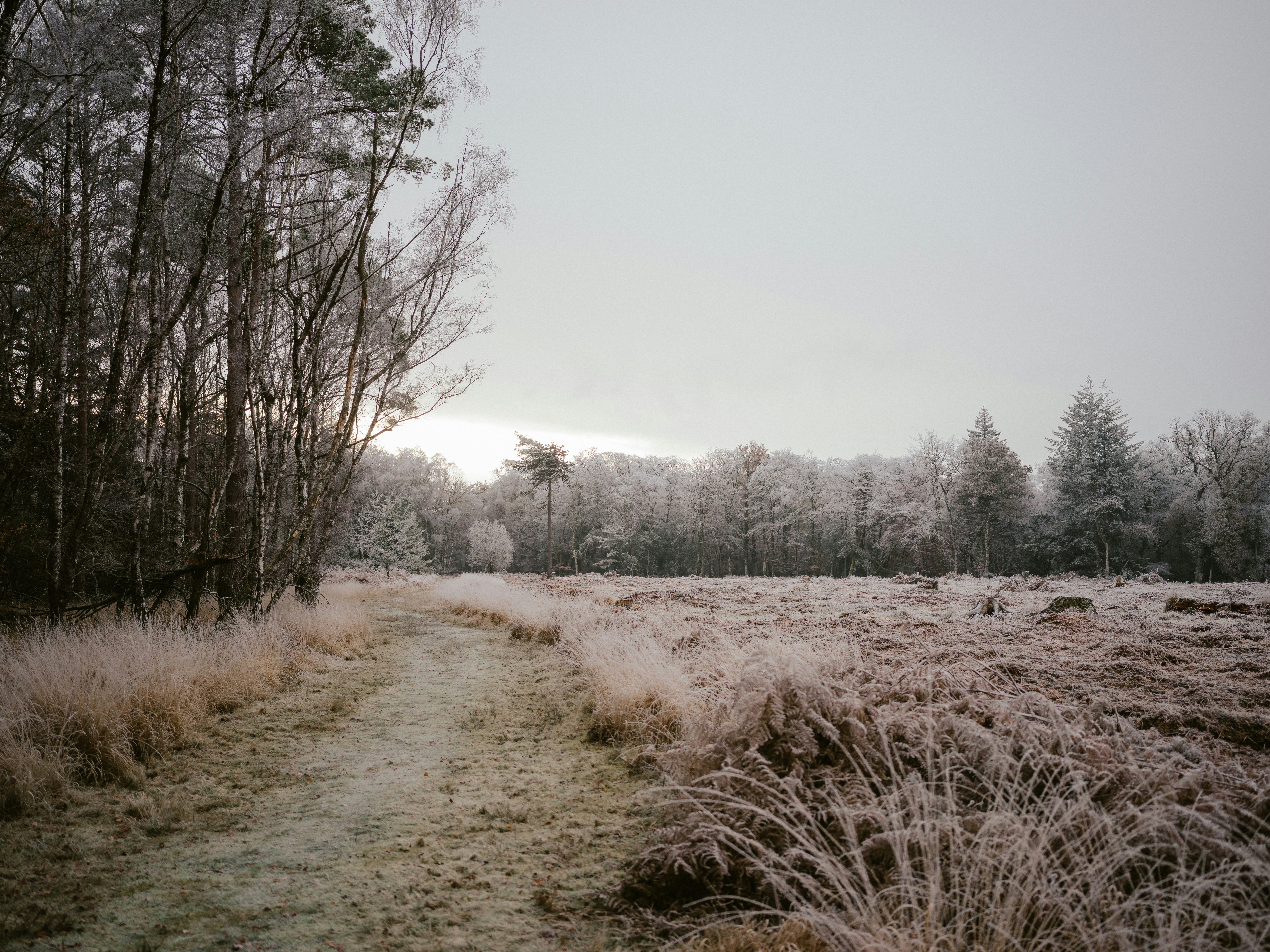 Photo by anniespratt