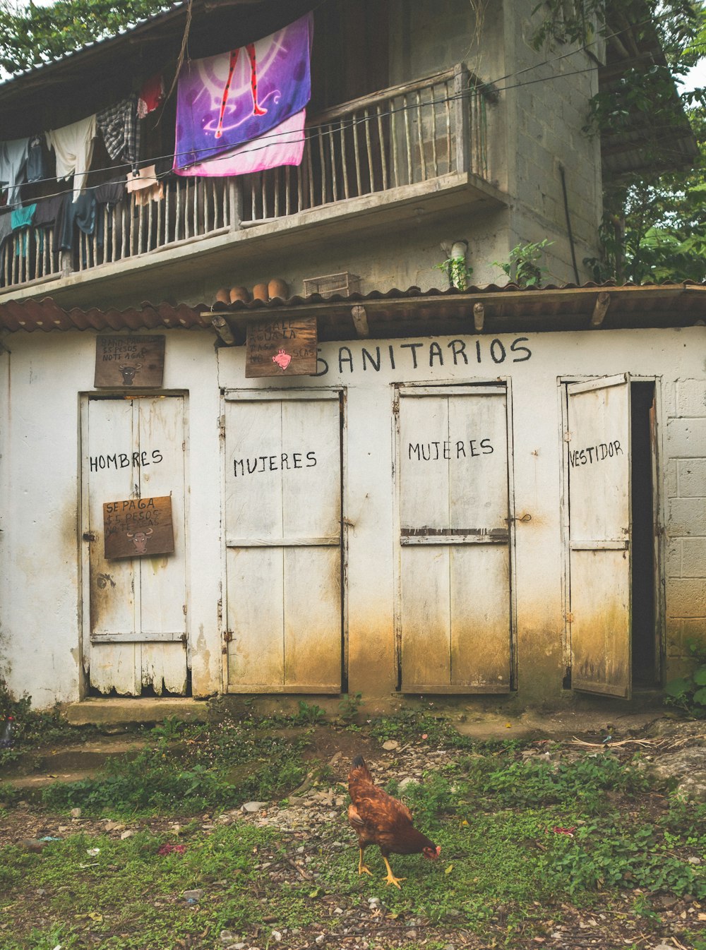 a chicken standing in front of a run down building