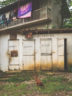A rustic, weathered building with four doors labeled as restrooms, two for men and two for women. Above the doors, a sign reads 'Sanitarios'. Clothes are hanging on a balcony railing, and a colorful towel featuring a woman's silhouette is prominently displayed. A brown chicken is pecking at the ground in the foreground.