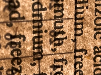 A close-up view of text on paper, highlighting several words in a serif font. The image focuses on the texture of the paper and the details of the printed text.