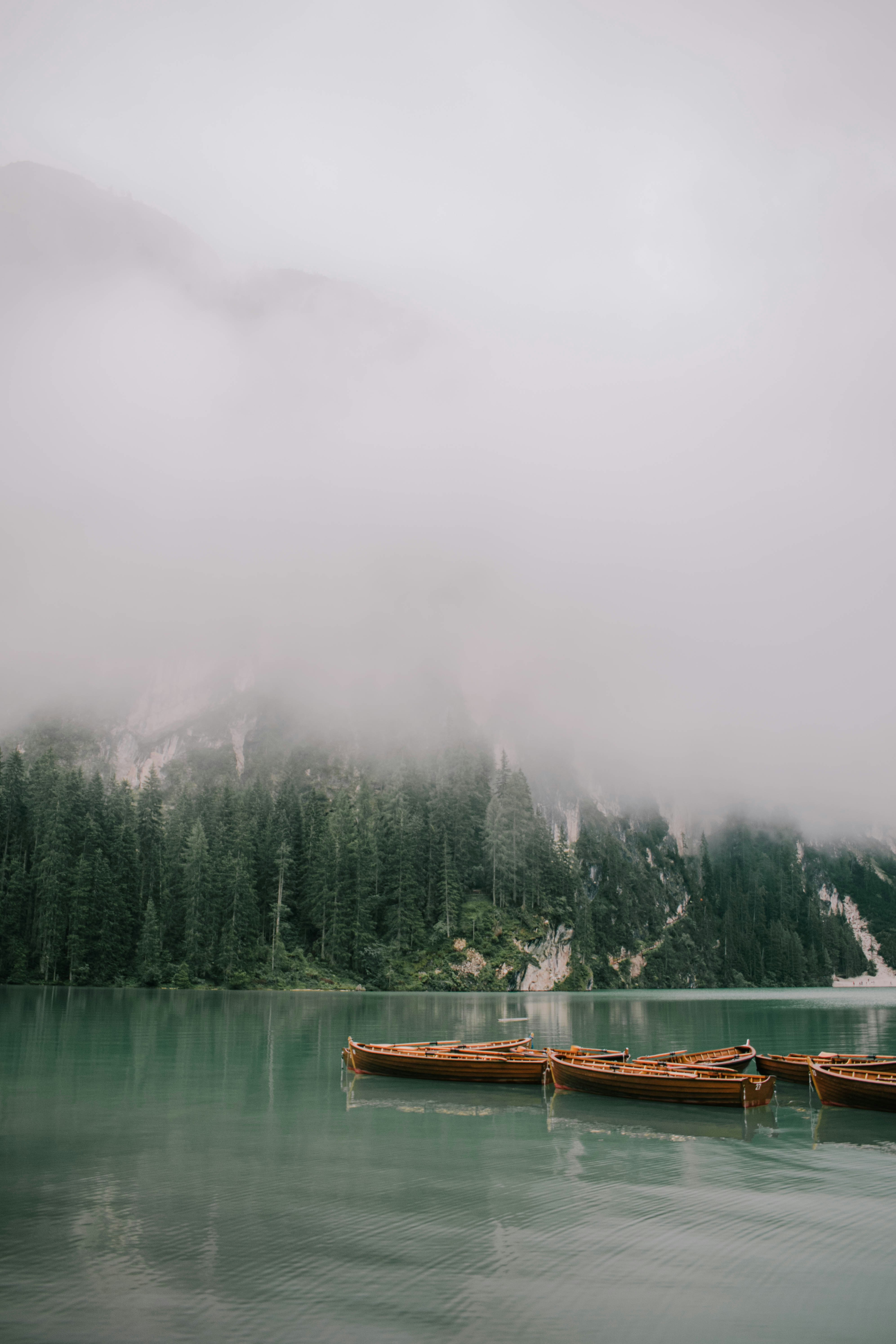 Photo by makiphotographer