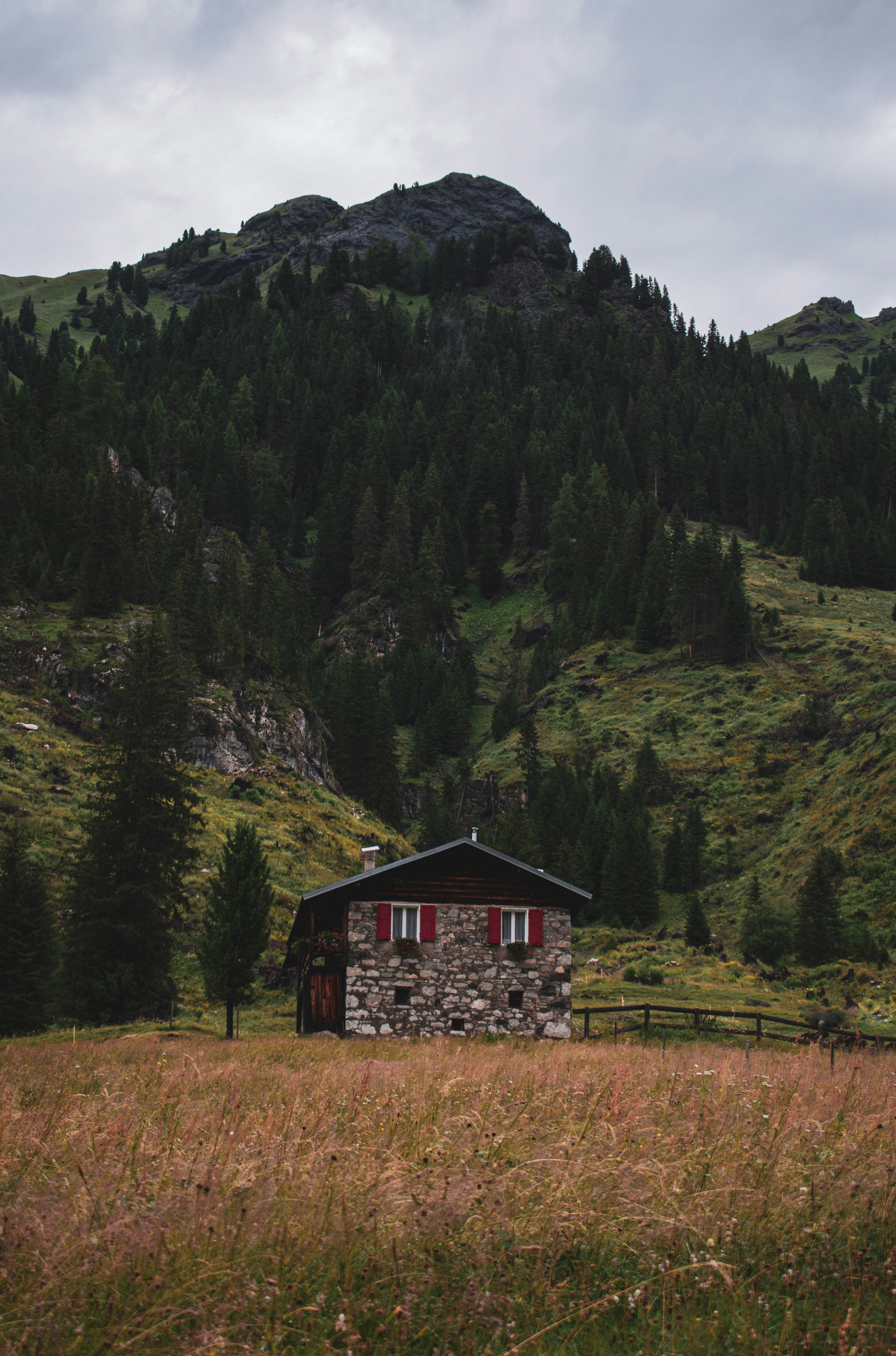 Photo by makiphotographer