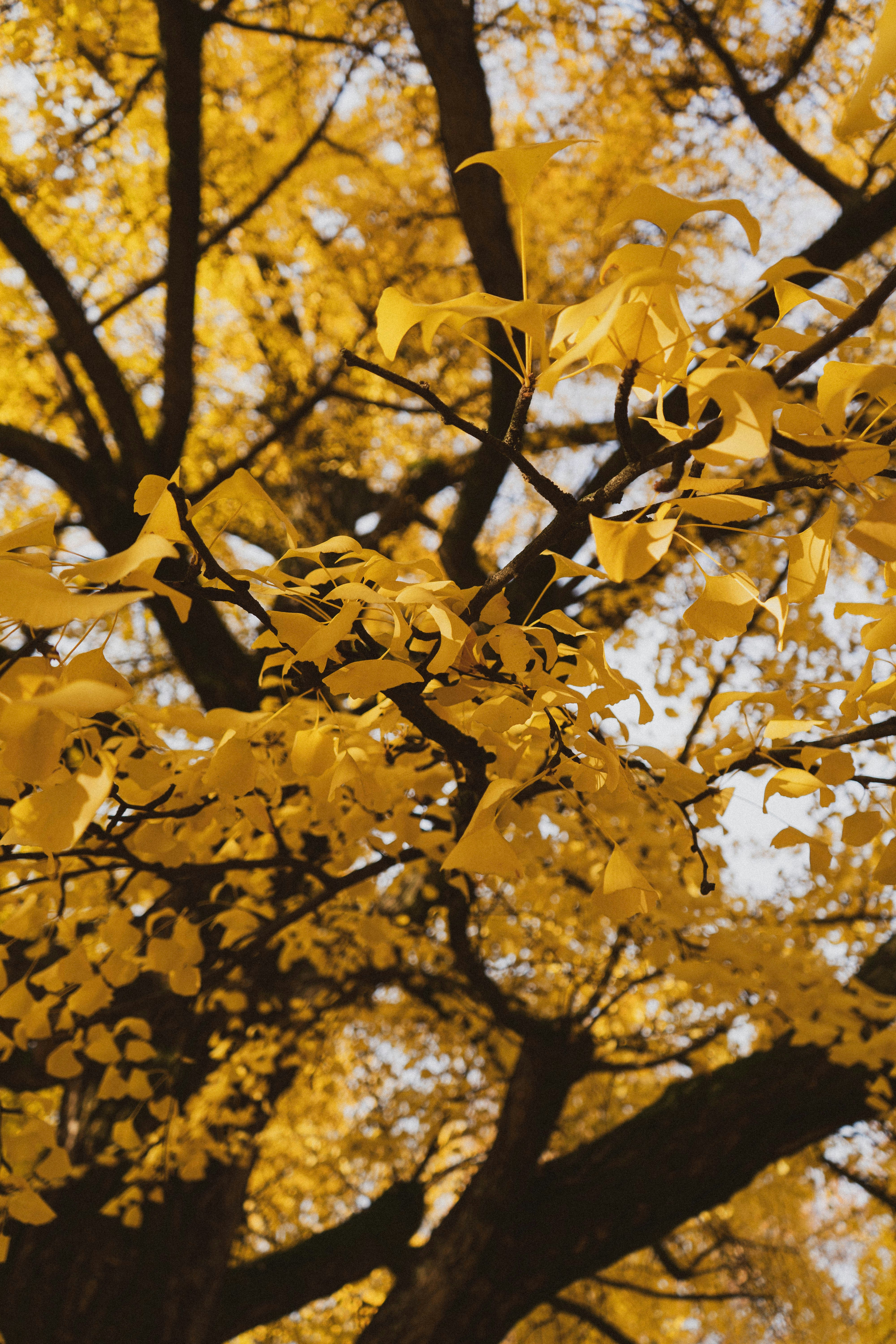 Photo by makiphotographer