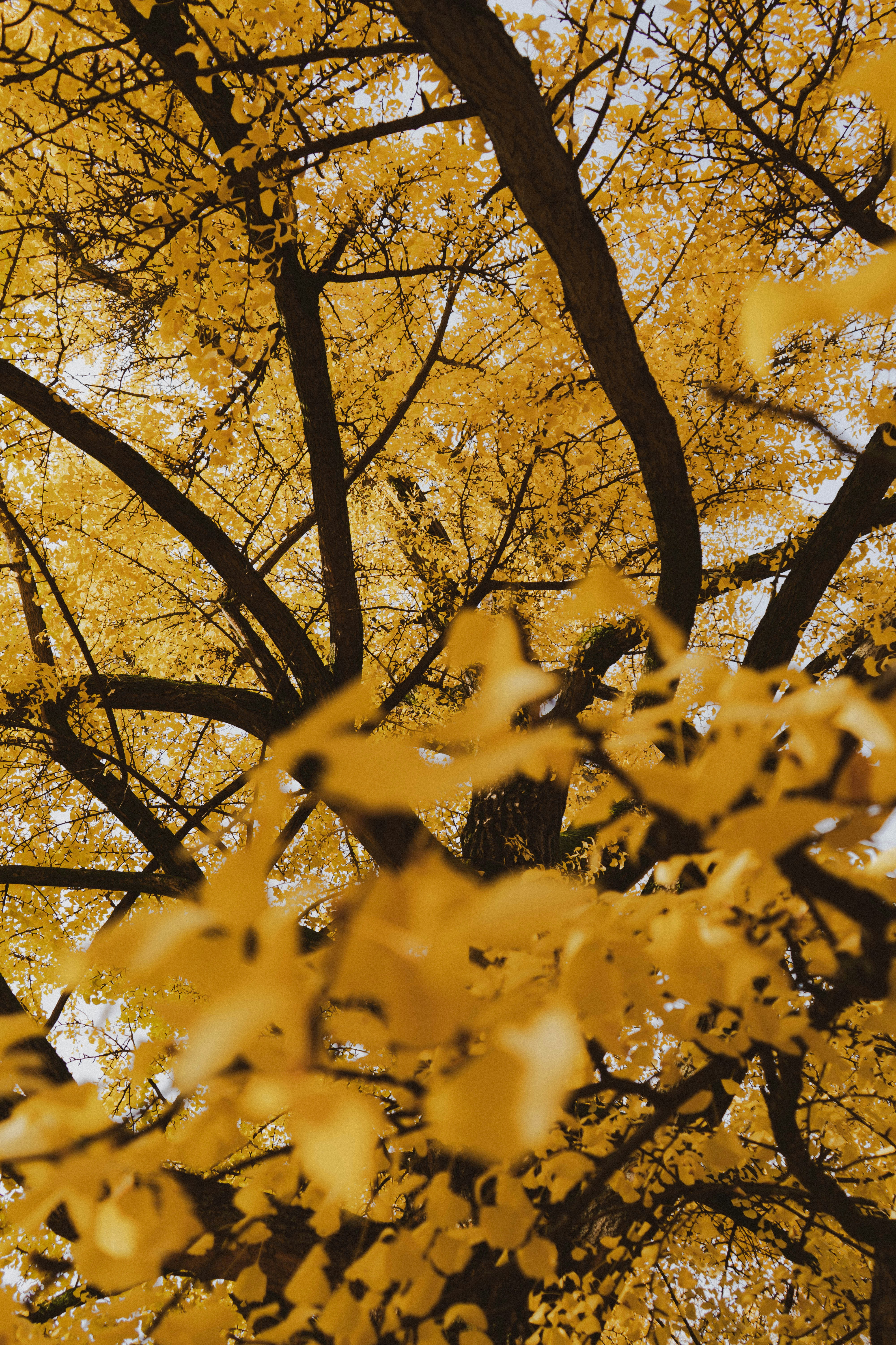 Photo by makiphotographer