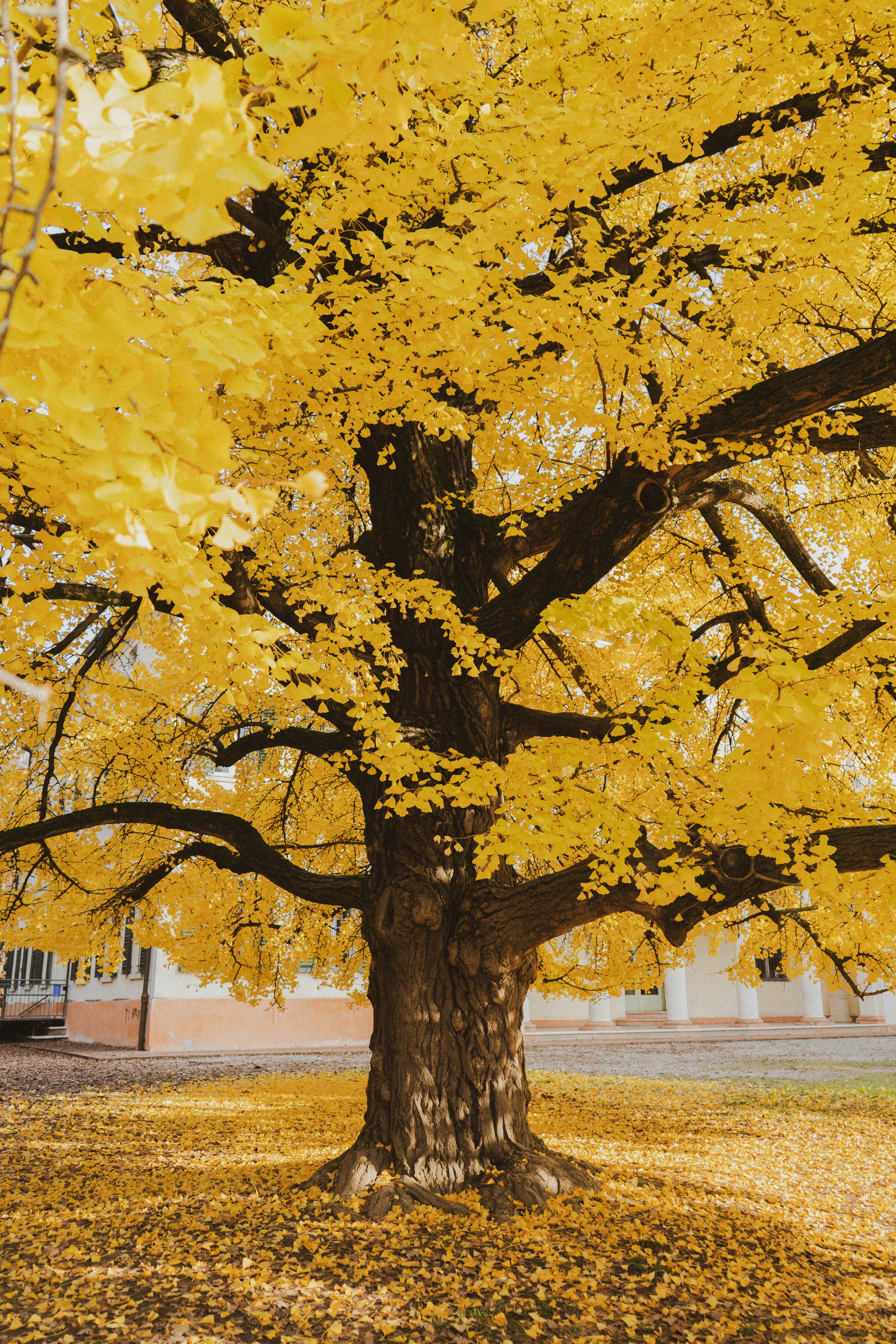 Photo by makiphotographer