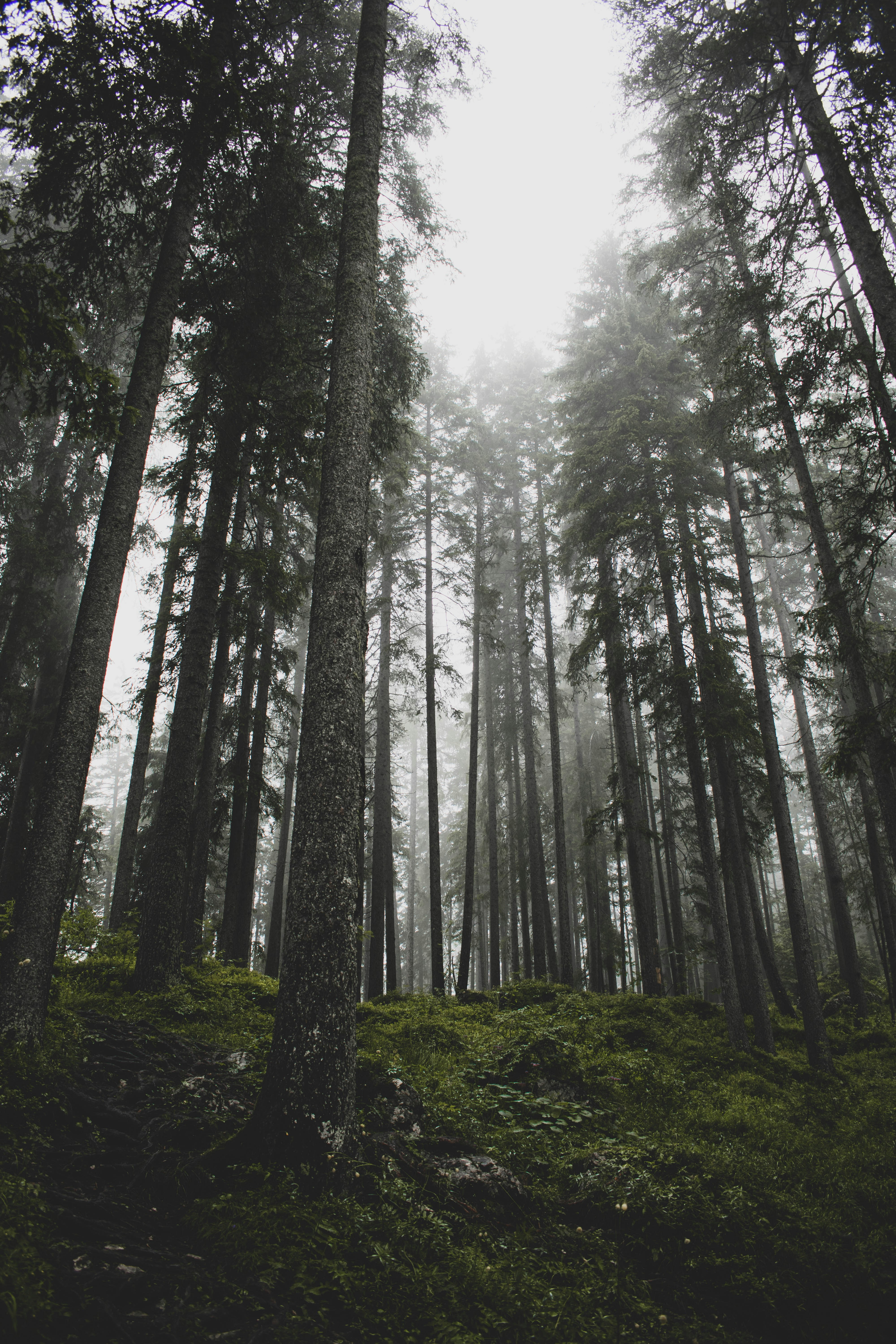 Photo by makiphotographer