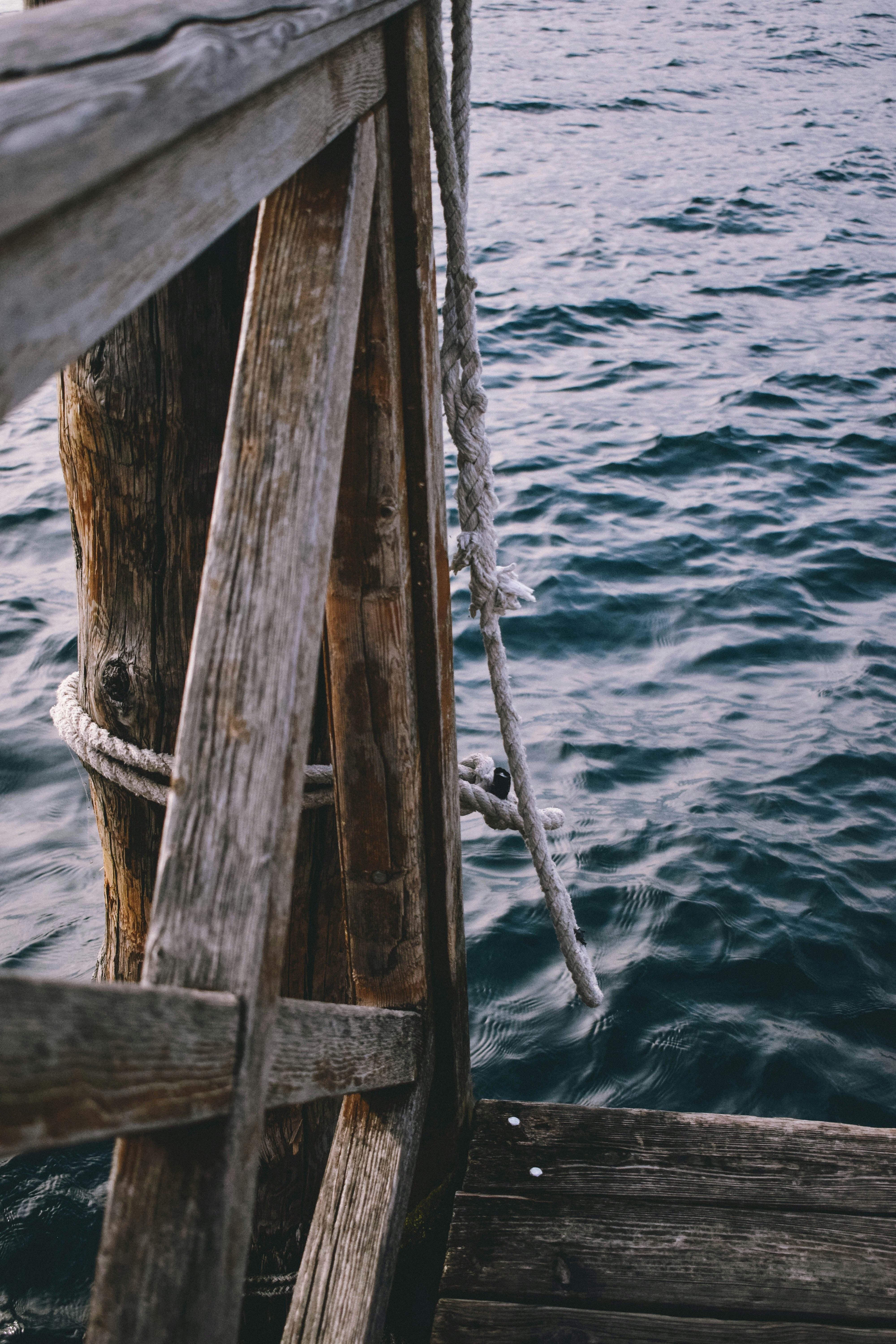 Photo by makiphotographer