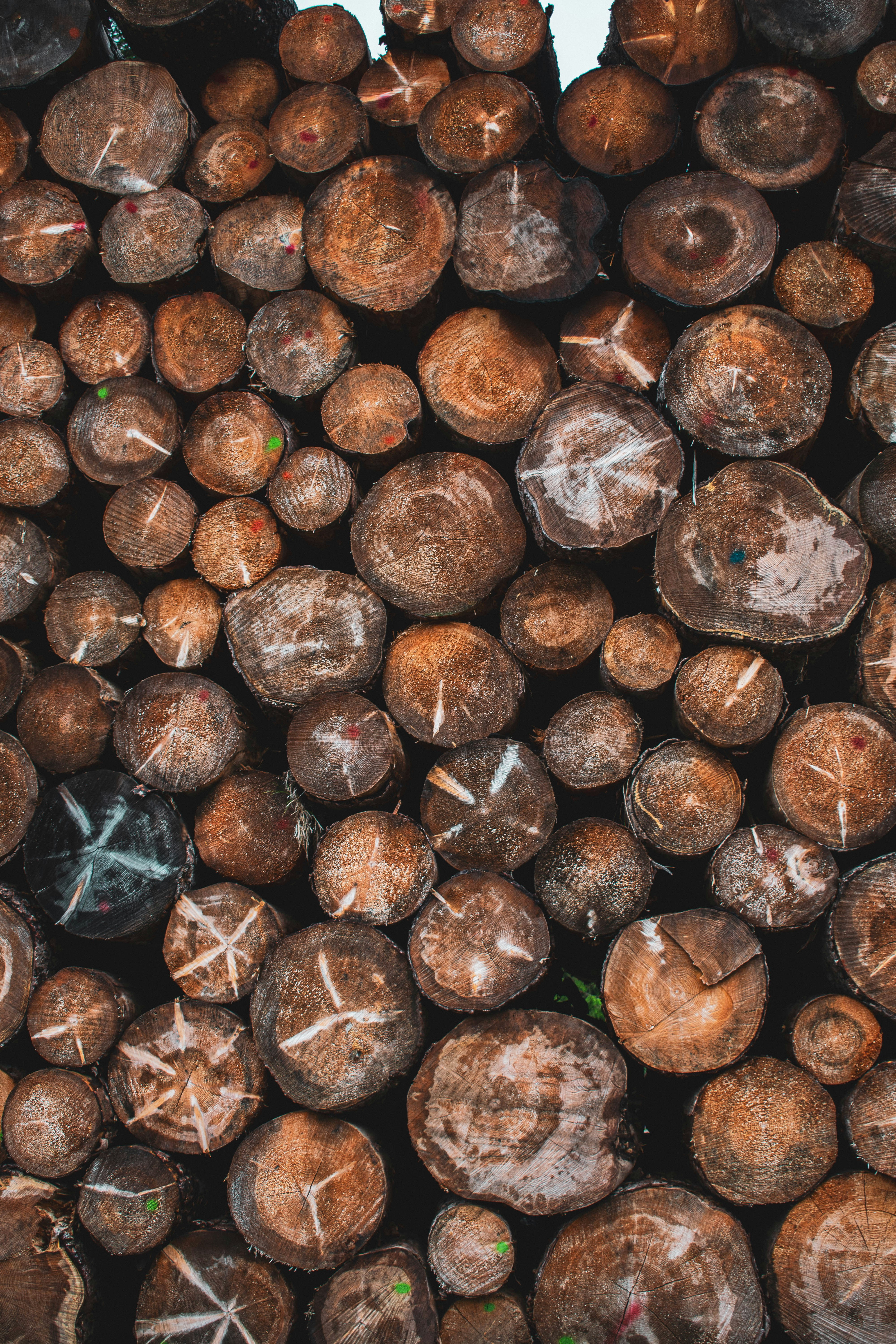 Photo by makiphotographer