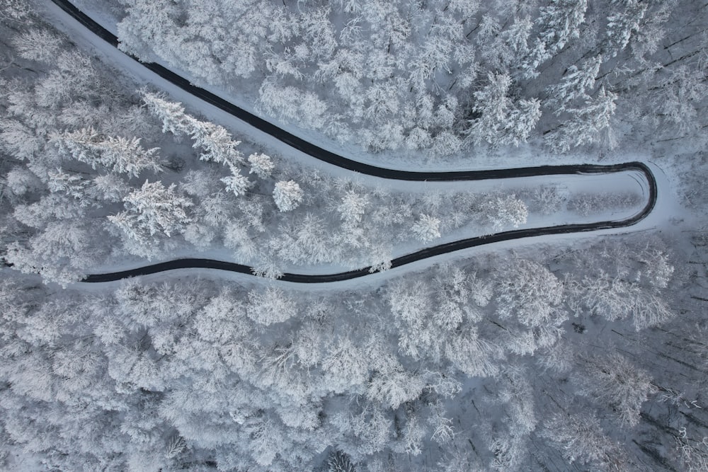 a winding road in the middle of a snowy forest