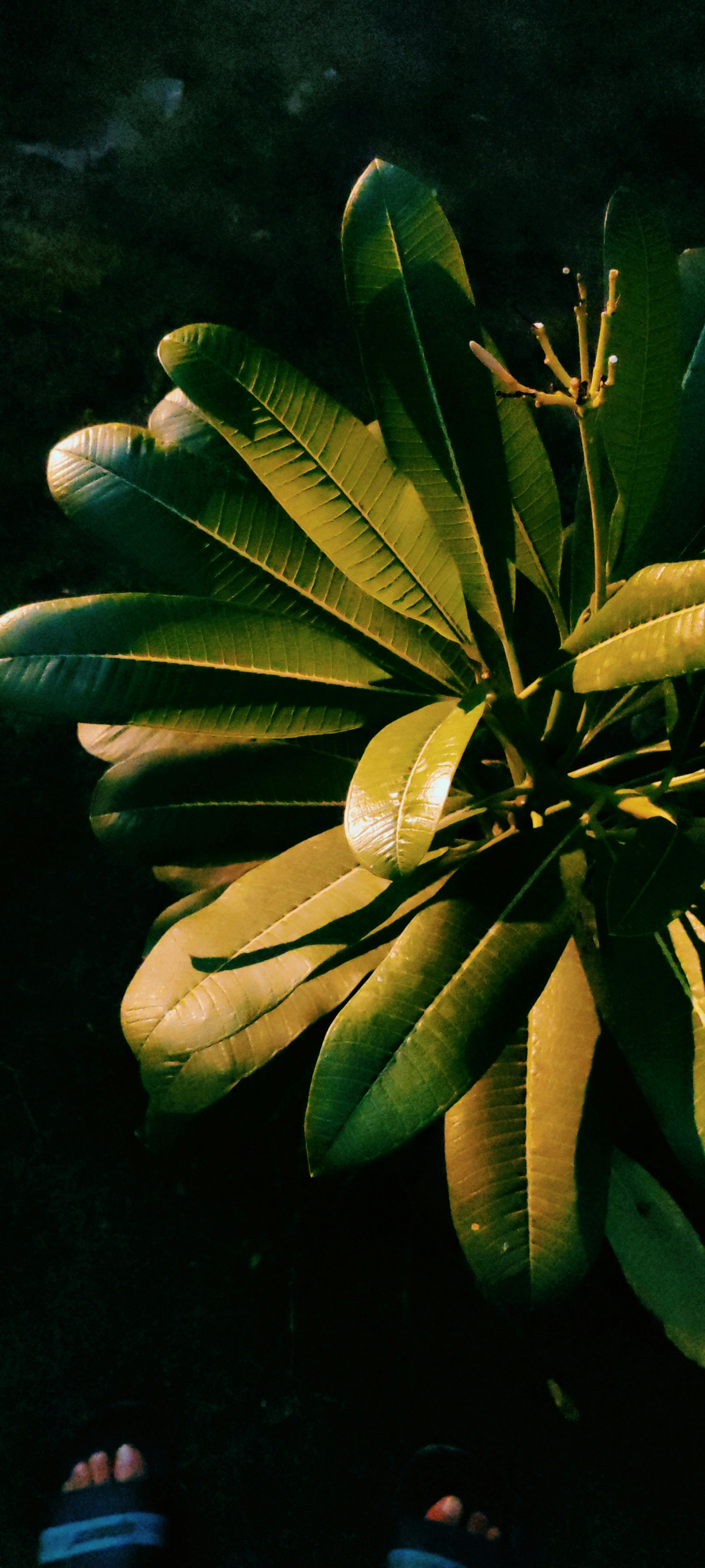 Photo by namansharma