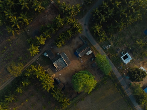 An aerial view of a rural area featuring a cluster of gray and blue-roofed buildings surrounded by lush greenery and coconut trees. A narrow road runs through the landscape, bordered by patches of grass and cultivated fields.