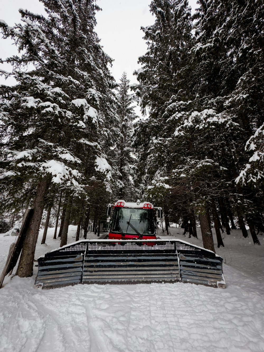 a snow plow in the middle of a snowy forest