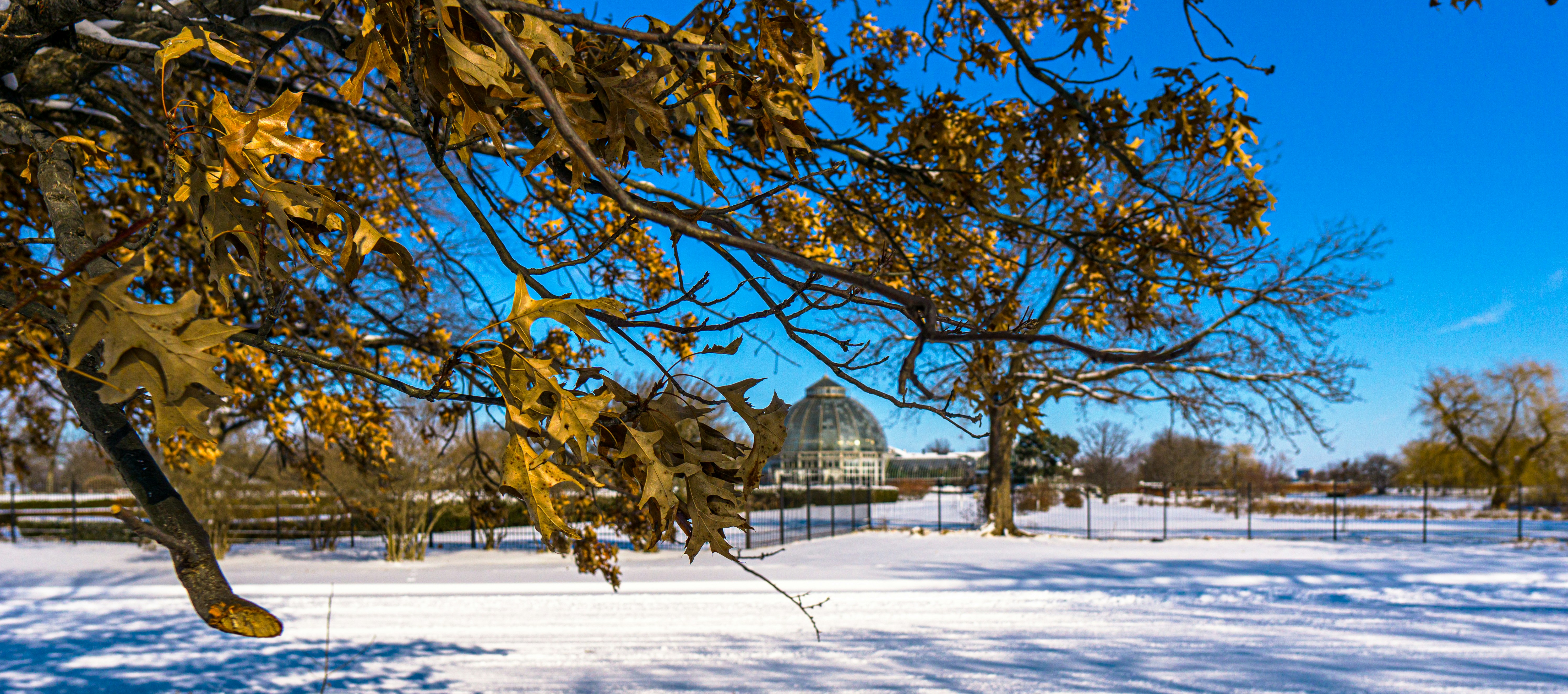 Golfview Park