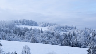 a snowy landscape with trees and a hill in the background