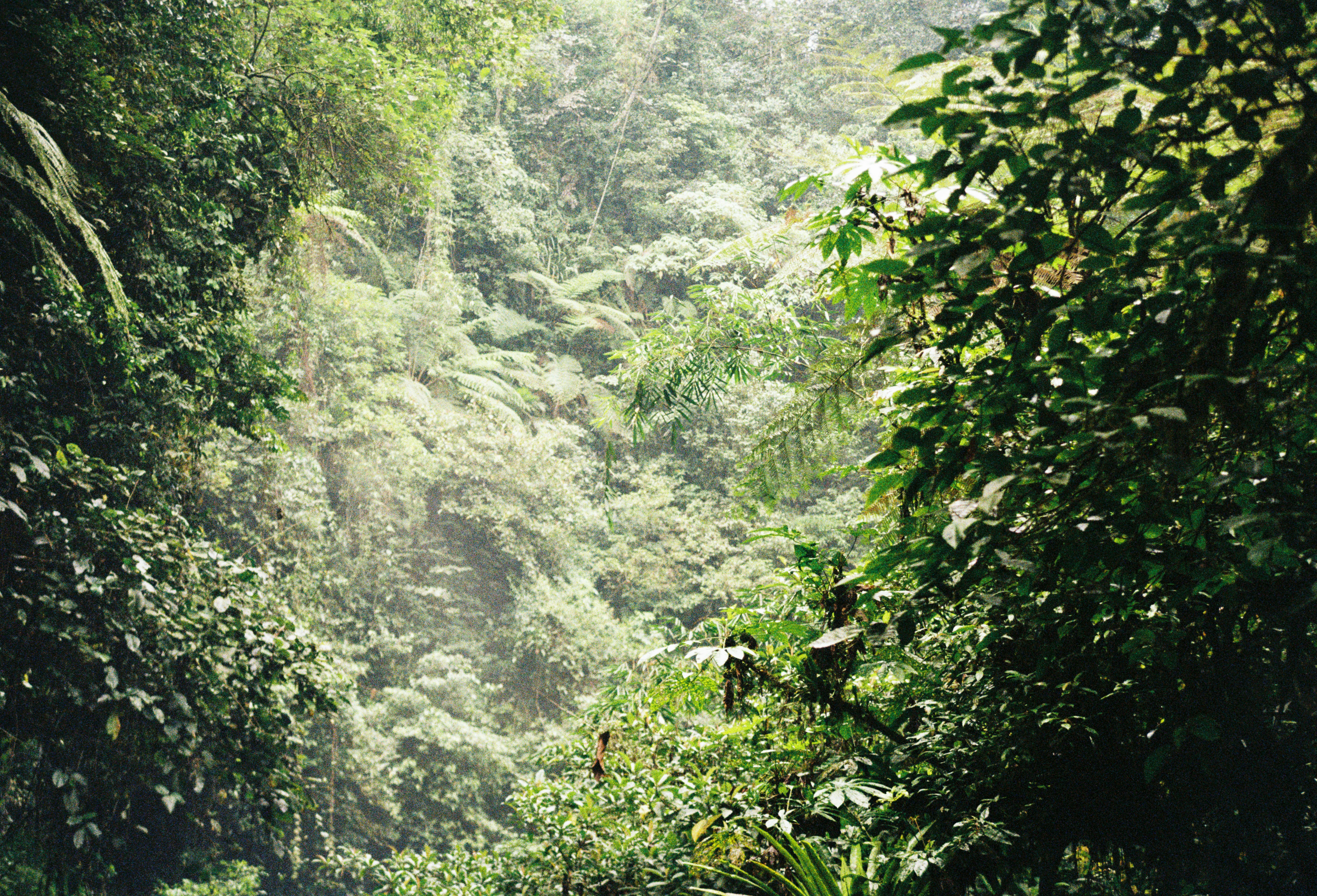 Photo by nikitamnepohui