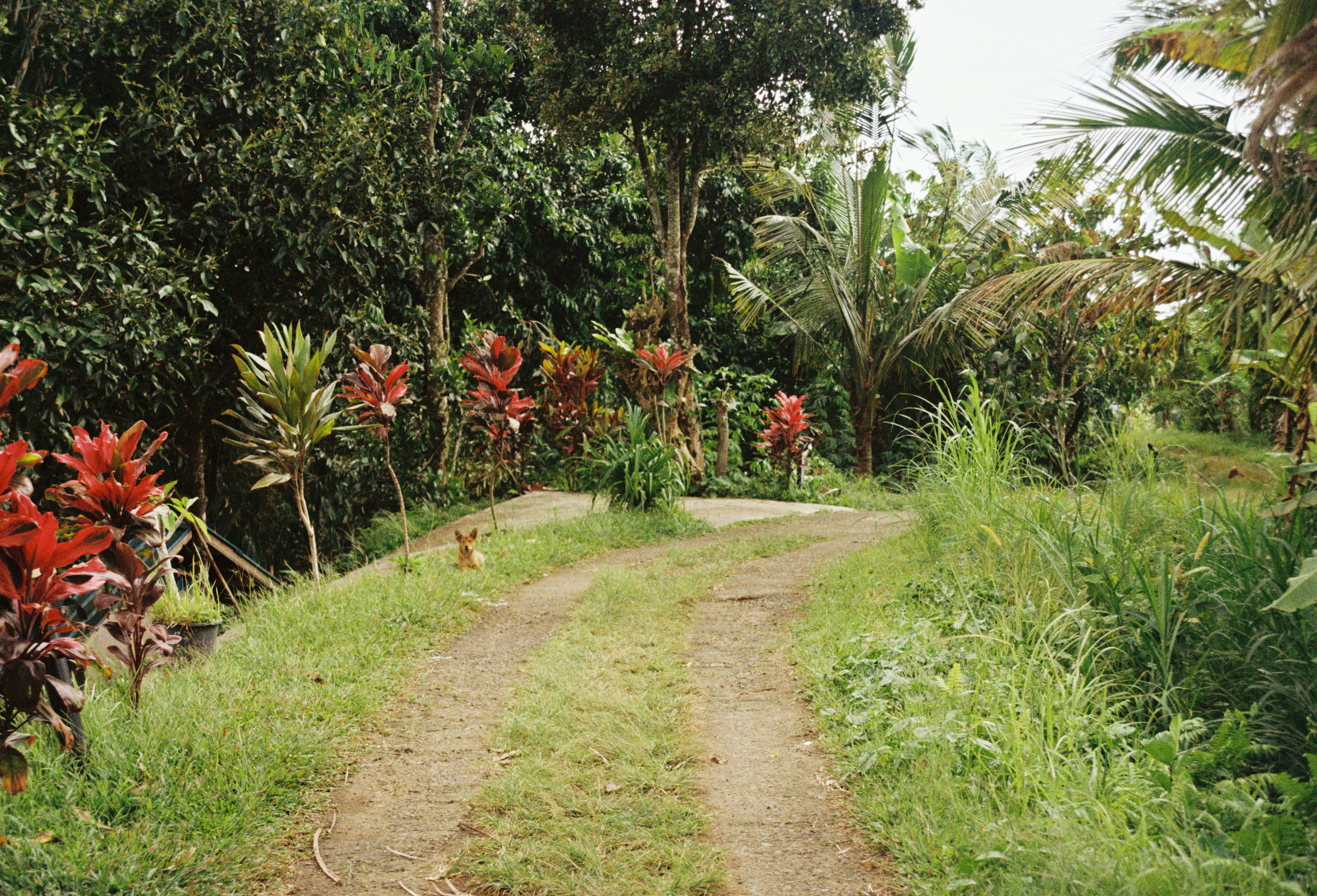 Photo by nikitamnepohui