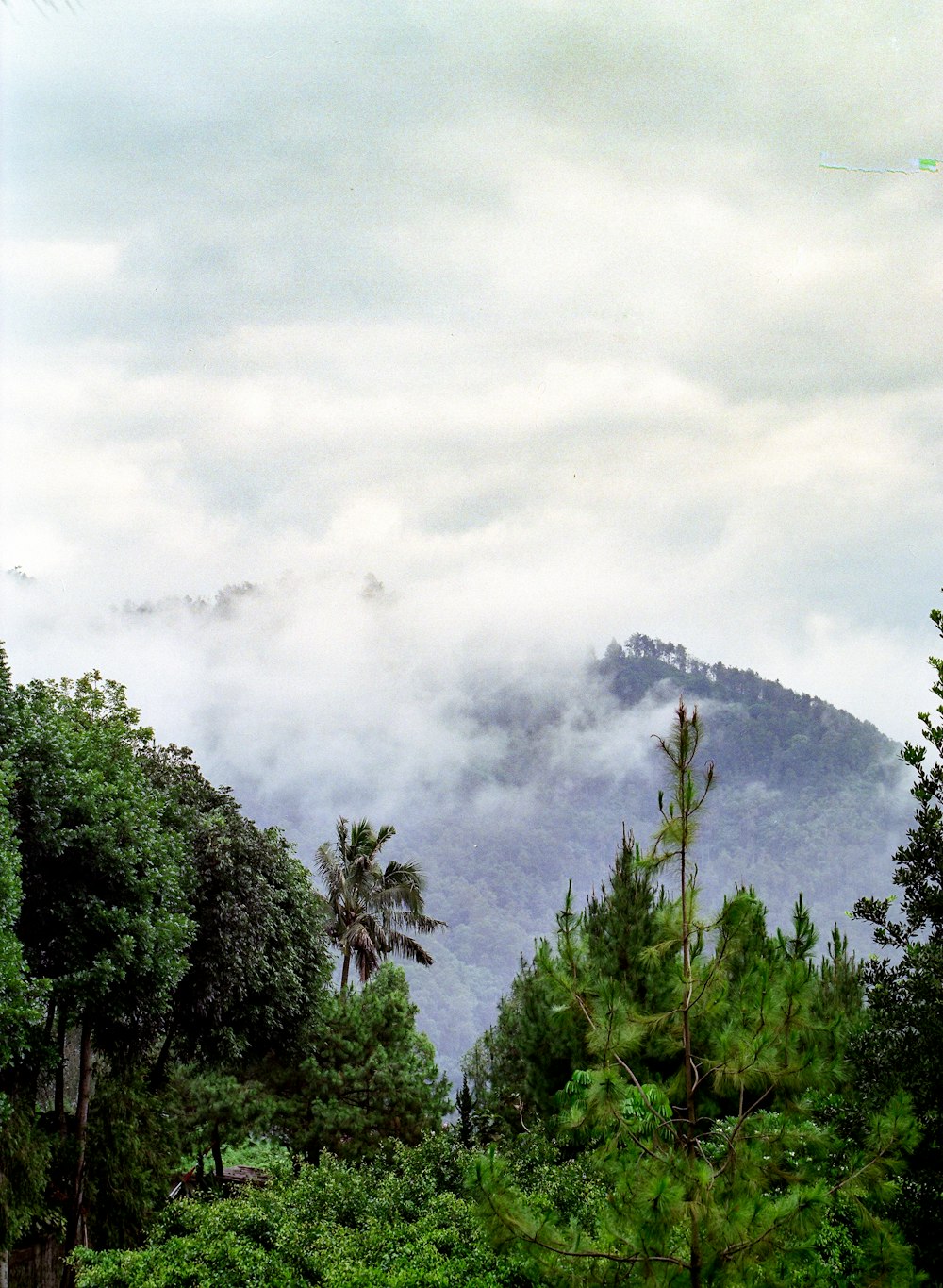 a view of a mountain covered in clouds and trees