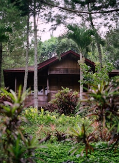 a house in the middle of a forest surrounded by trees