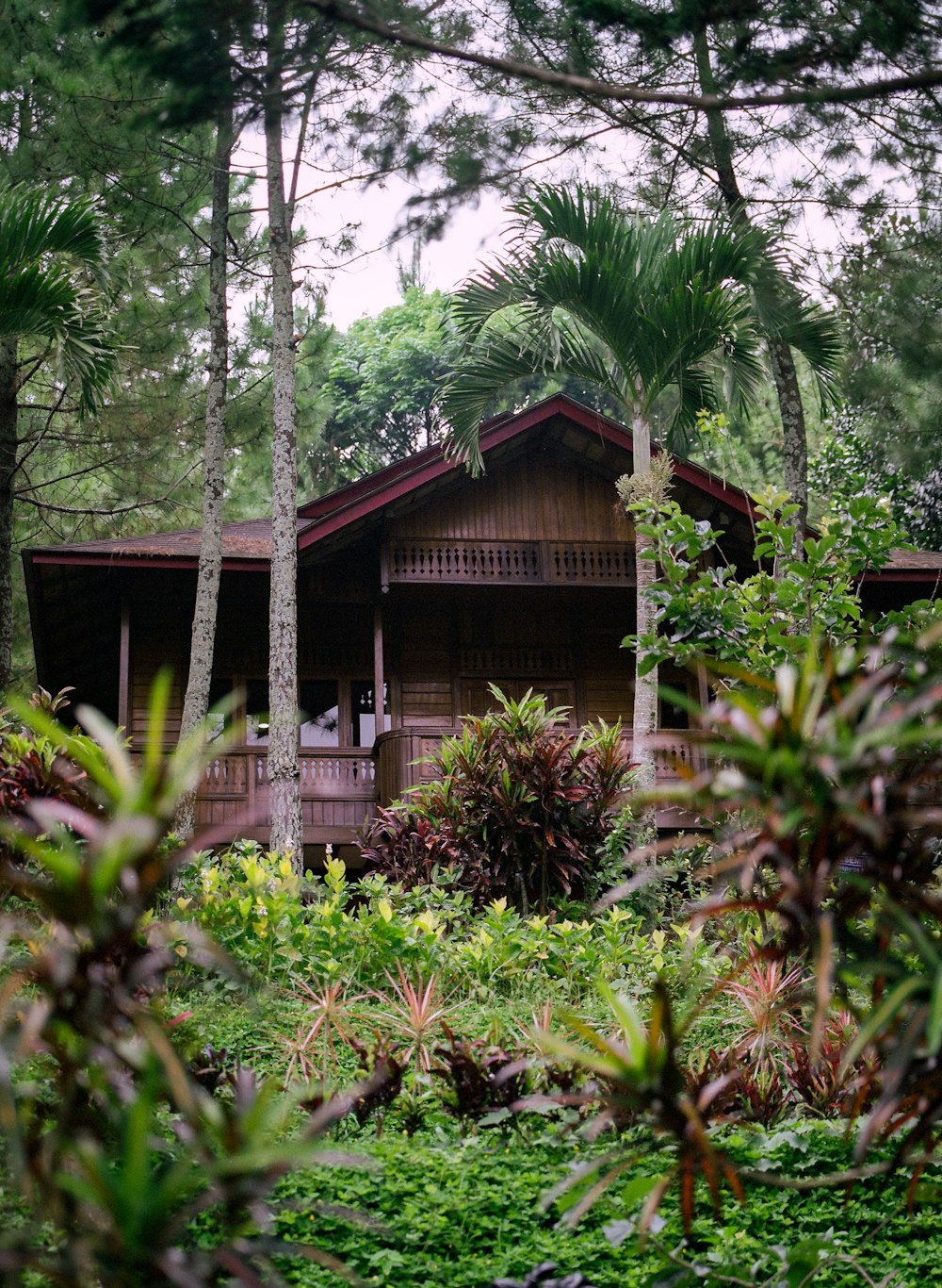 a house in the middle of a forest surrounded by trees