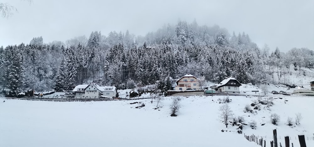 a snowy landscape with houses and trees in the background