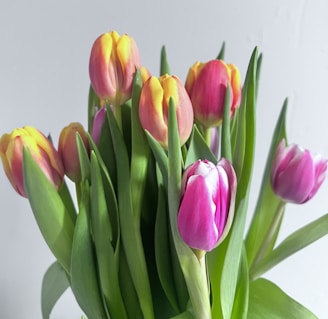 An elegant mix of pastel tulips and lilies set against a colorful, dynamic background.