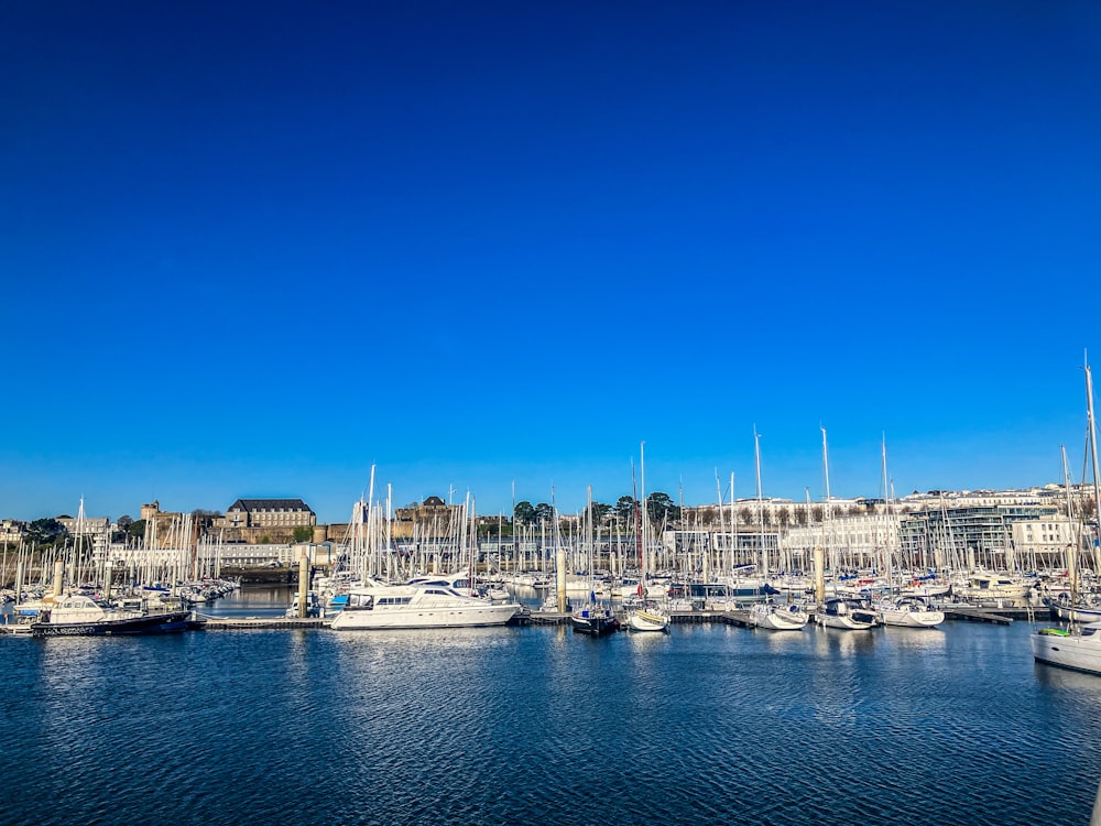 a harbor filled with lots of boats under a blue sky