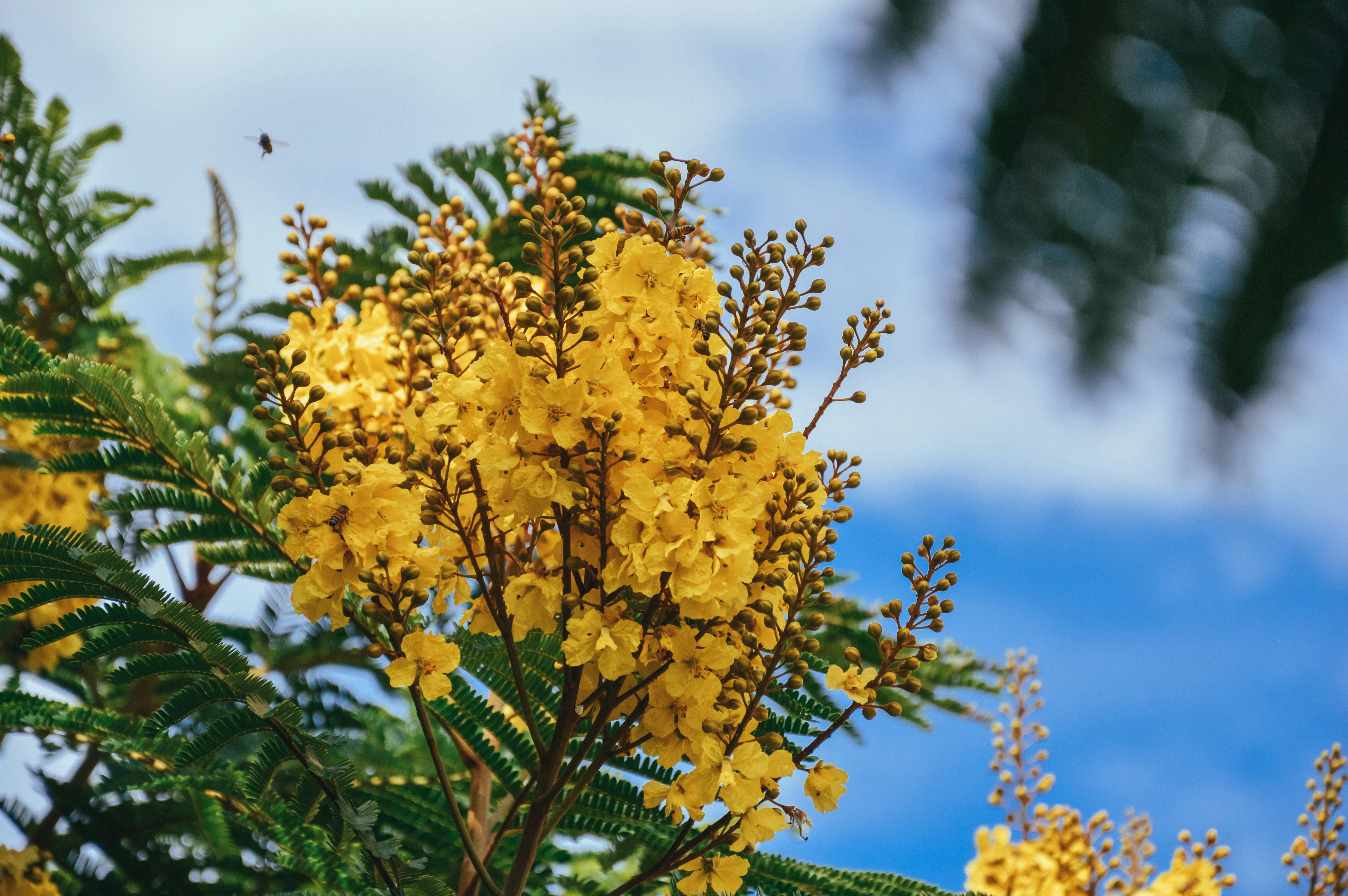 Photo by hectorbrasil