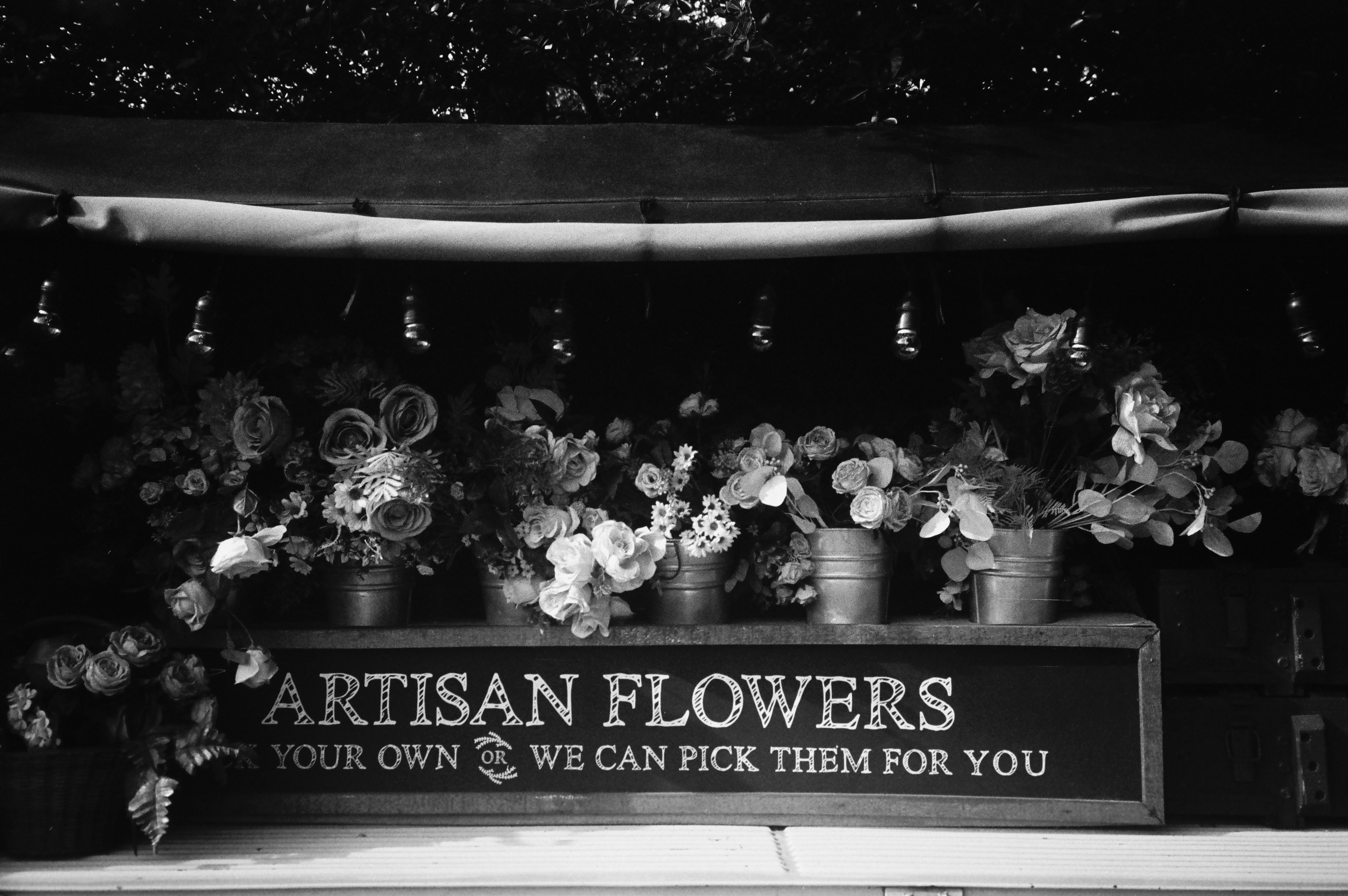 a black and white photo of flowers for sale