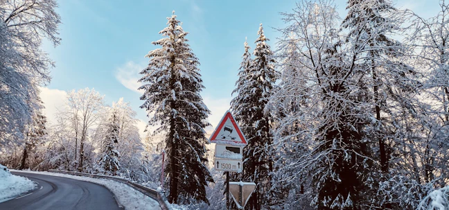 Luxury Winter Itinerary: Slovenia, Austria & Italy