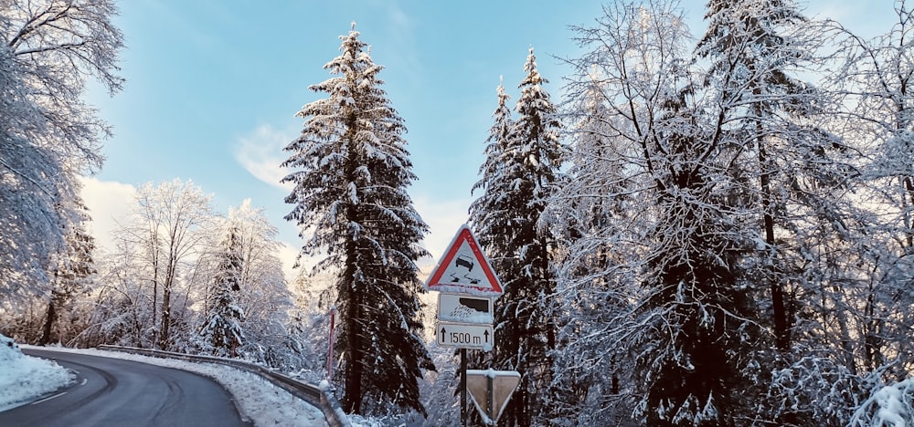 a road in the middle of a forest covered in snow