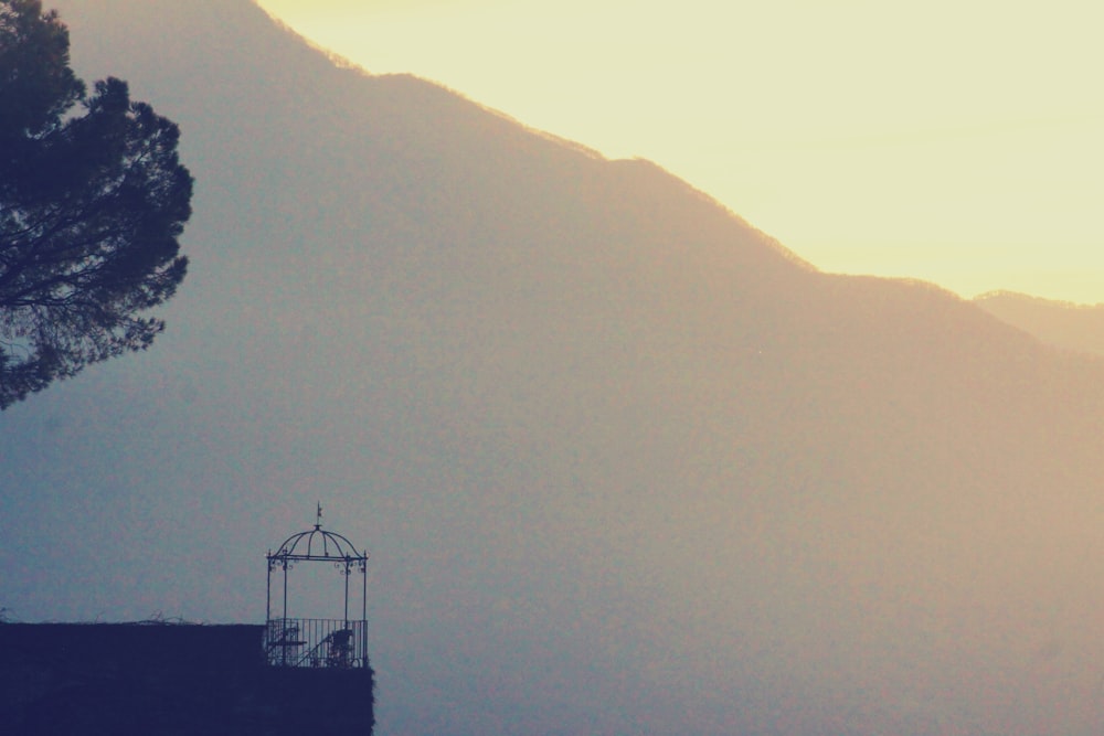 a birdcage sitting on top of a roof next to a tree