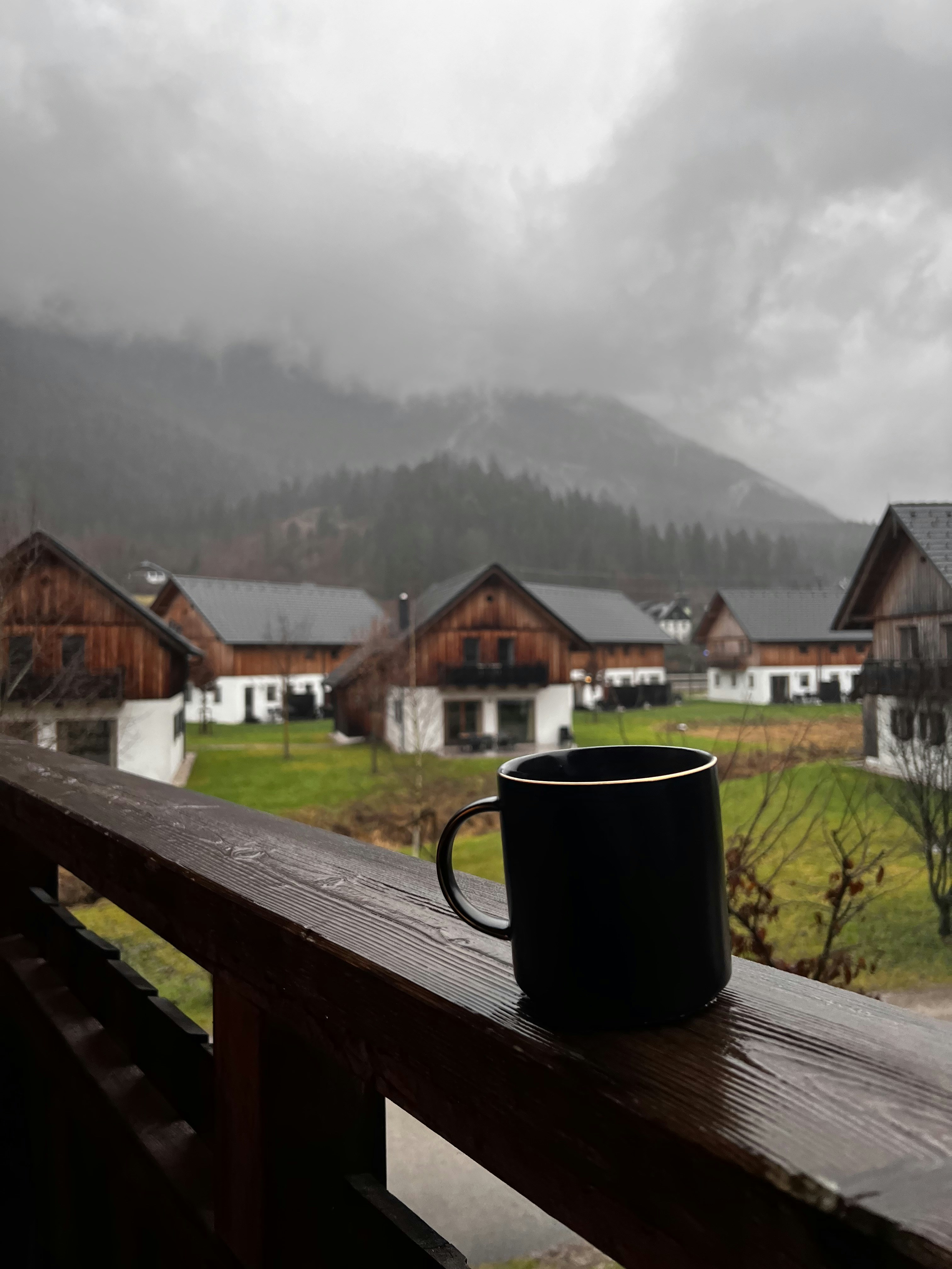 Coal & Pine Mug