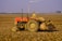 A person wearing headgear operates an orange tractor in a vast, plowed agricultural field. A tall smokestack emits smoke in the background, with a hazy sky and some distant buildings and power lines visible. The soil looks dry and the landscape is expansive.