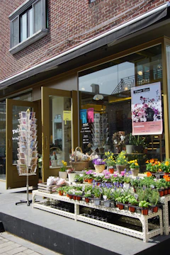 a flower shop with lots of flowers in the window