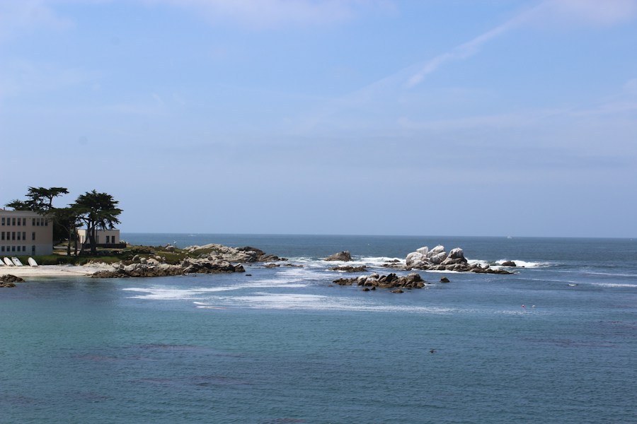 Monterey Bay: California's Marine Sanctuary