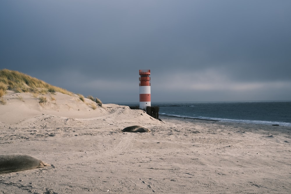 a red and white lighthouse sitting on top of a sandy beach