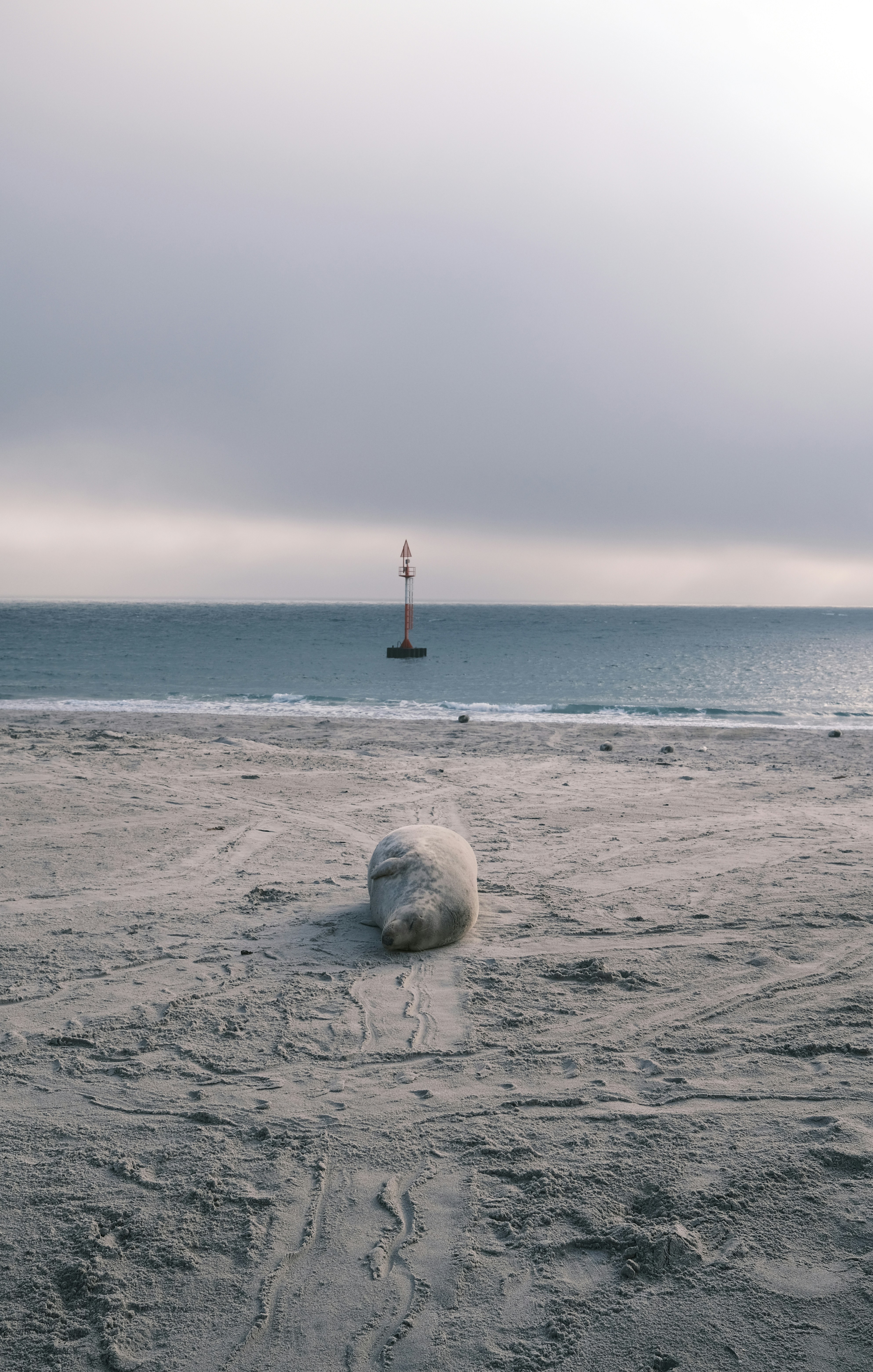 a large rock sitting on top of a sandy beach
