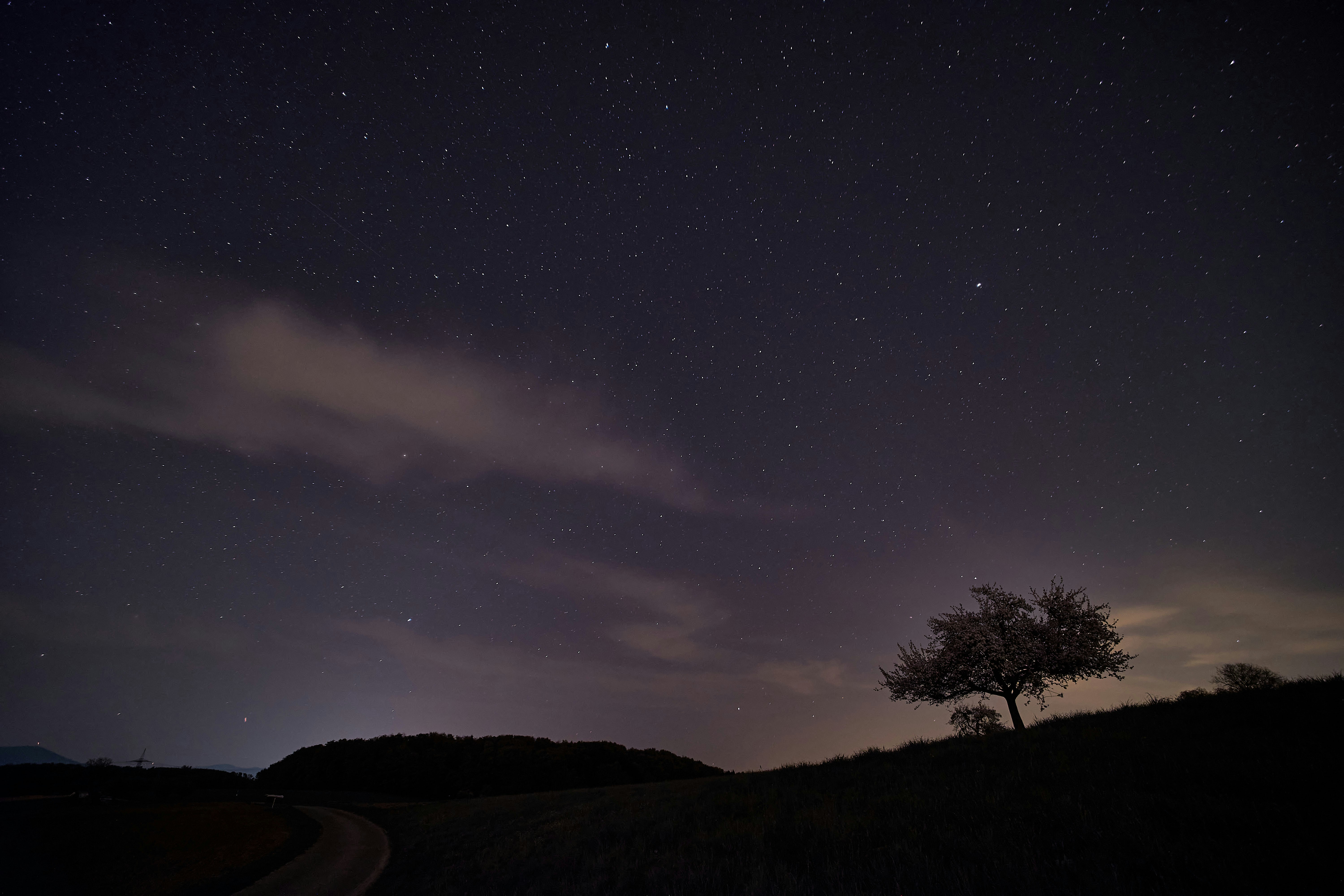 Photo by wolfgang_hasselmann