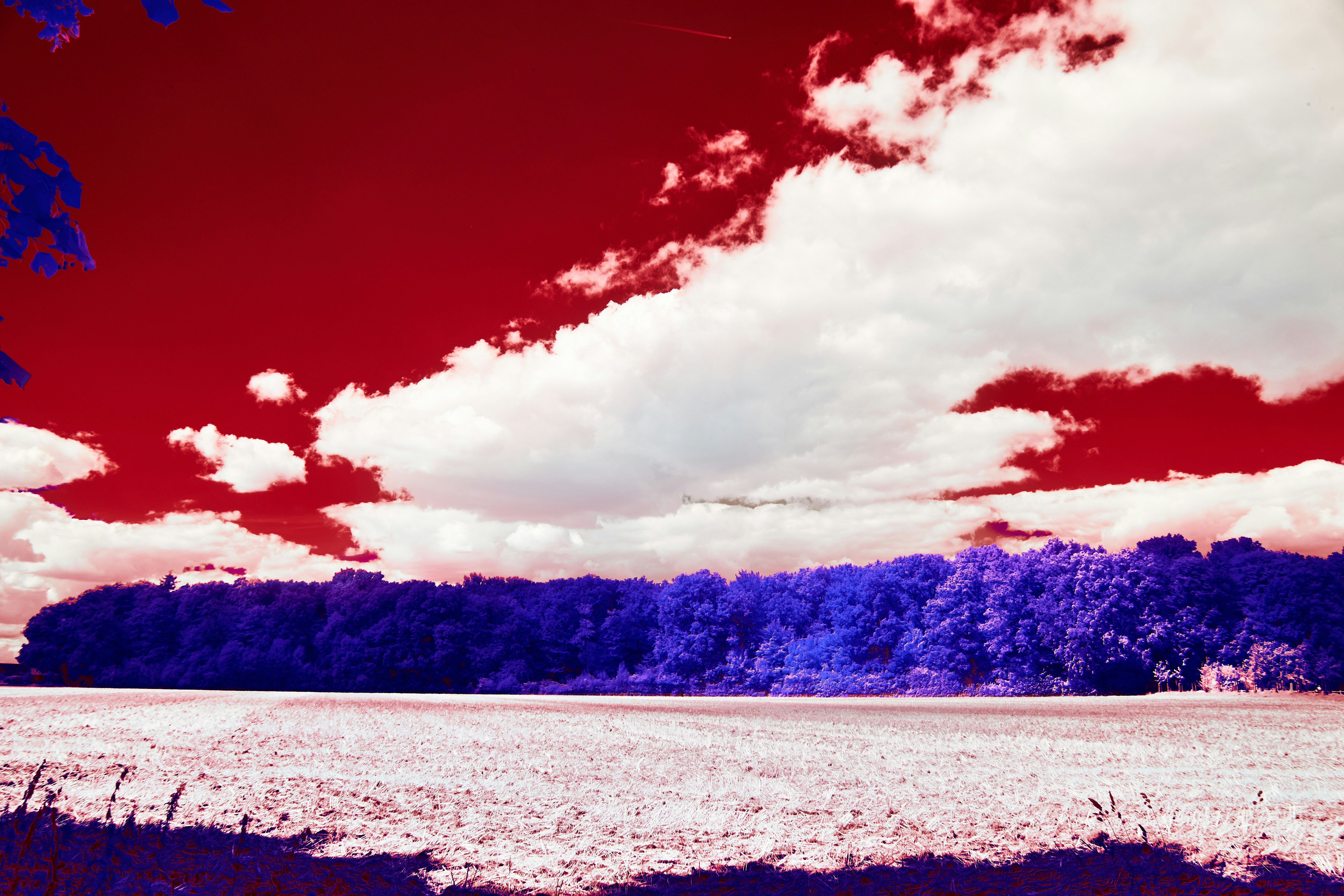 Photo by wolfgang_hasselmann