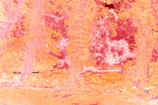Cinematic scene from 'Free the Frog' with surreal AI-generated visuals and muted colors.