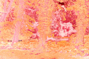 Cinematic scene from 'Free the Frog' with surreal AI-generated visuals and muted colors.