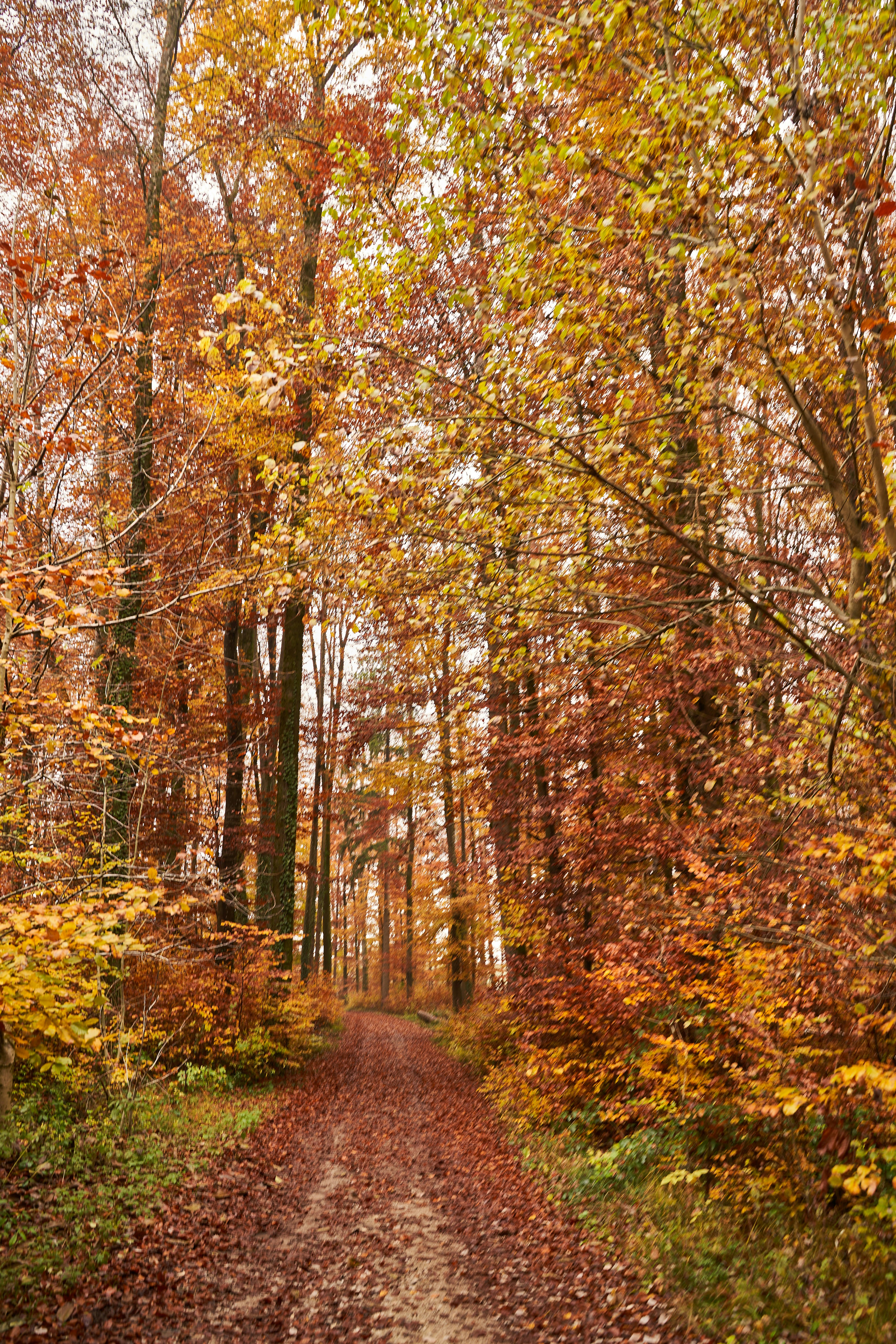 Photo by wolfgang_hasselmann